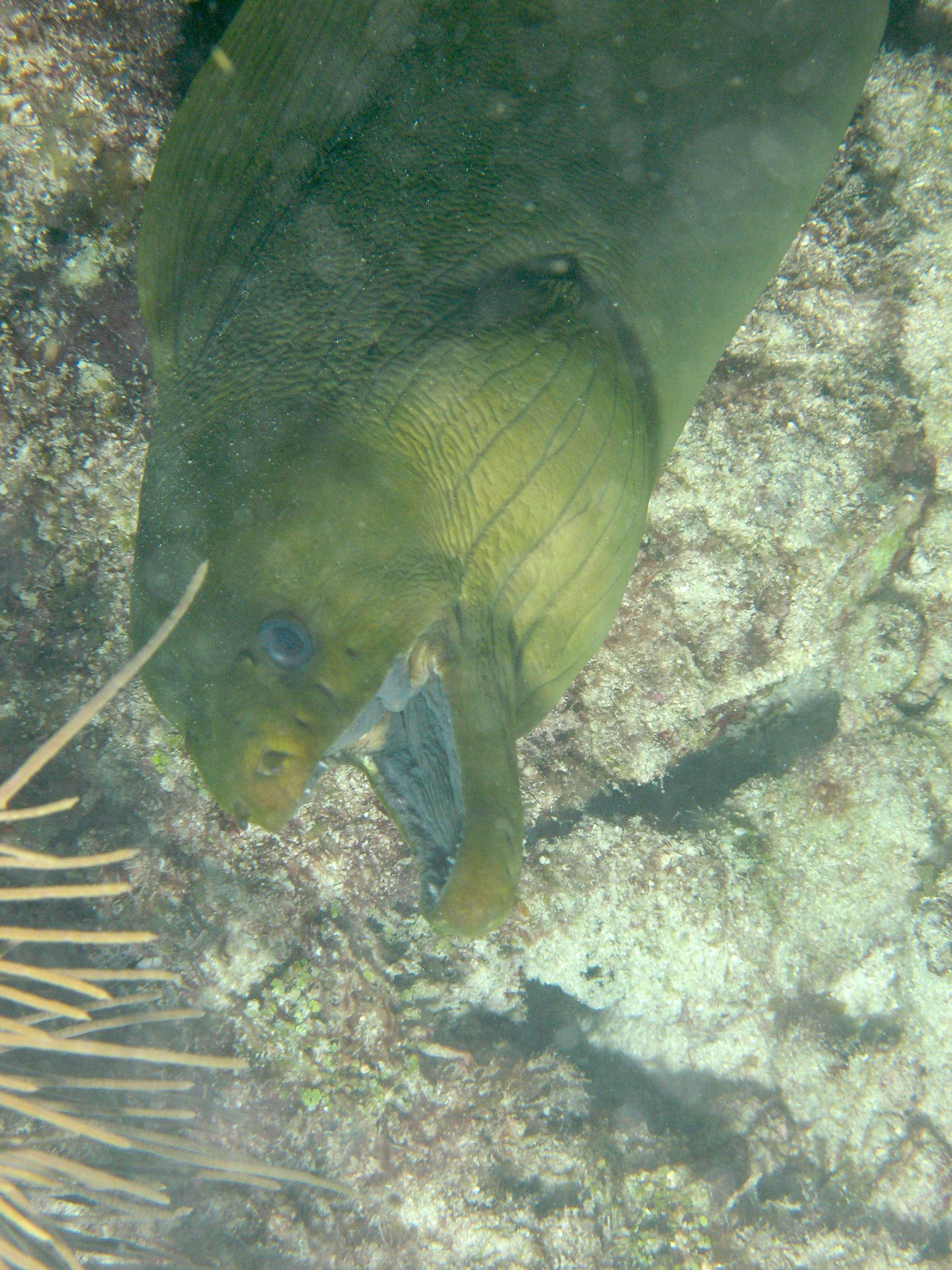 IMG_4375.JPG