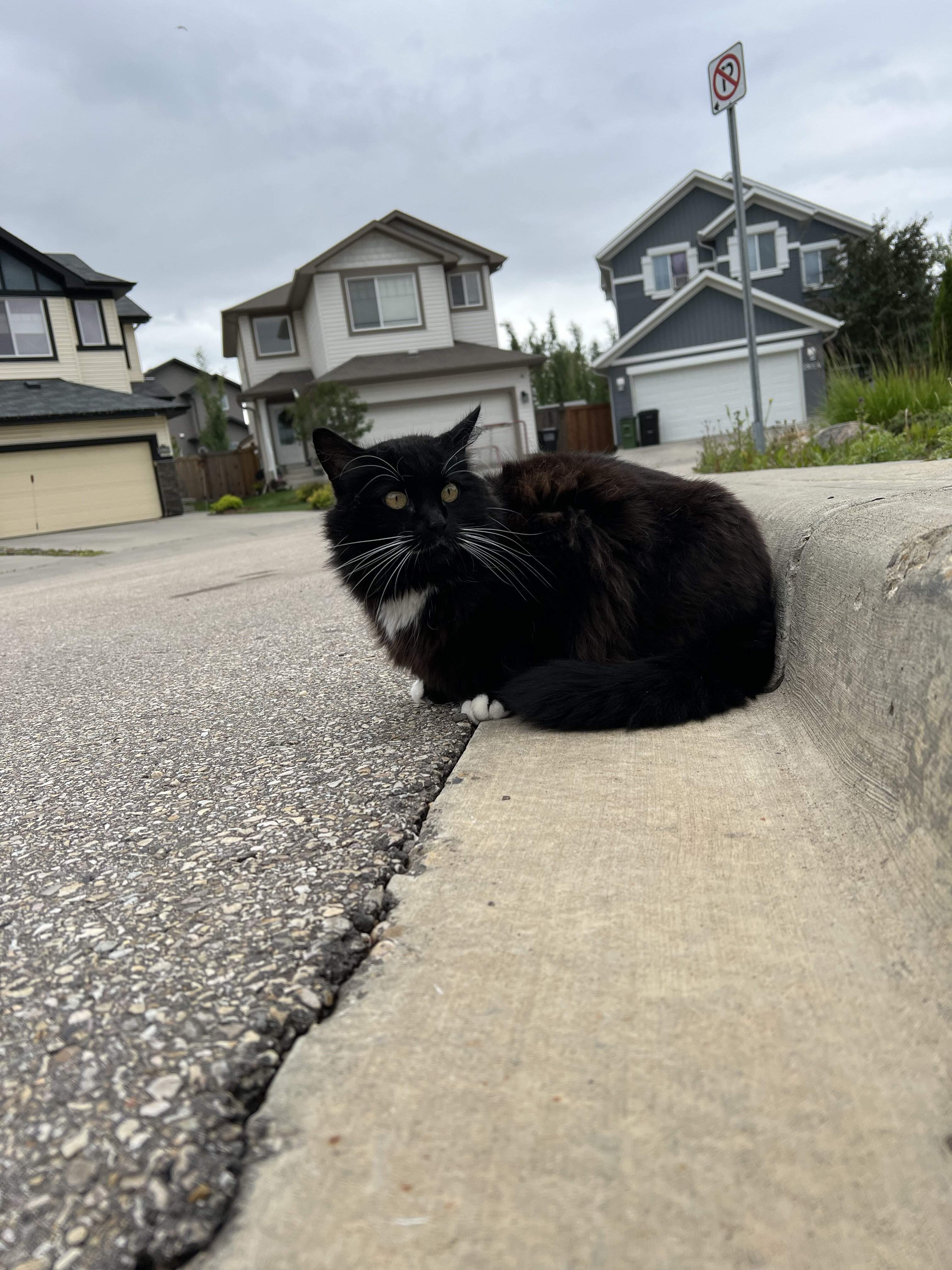 IMG_4438.jpeg