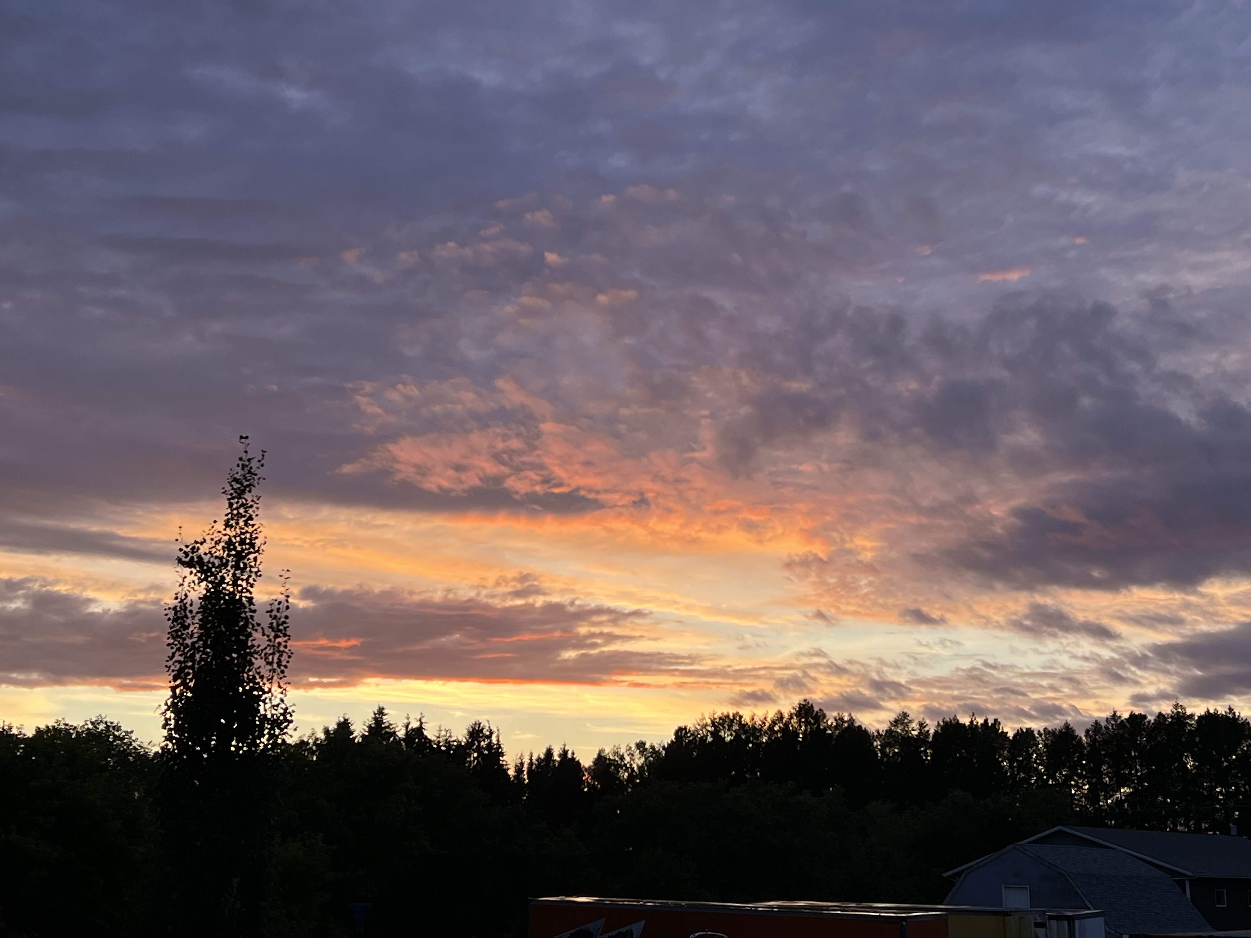 IMG_4451.jpeg