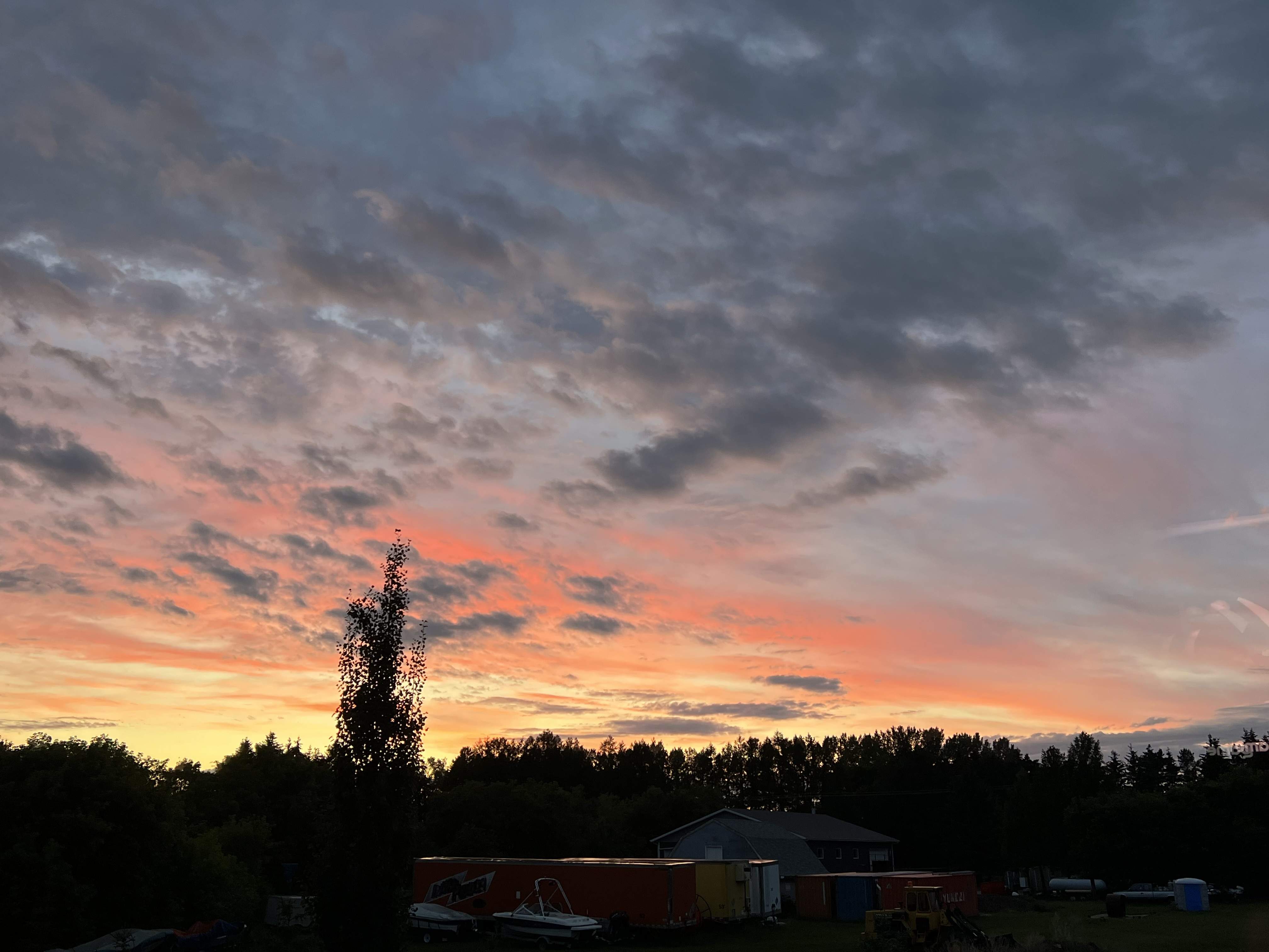 IMG_4455.jpeg