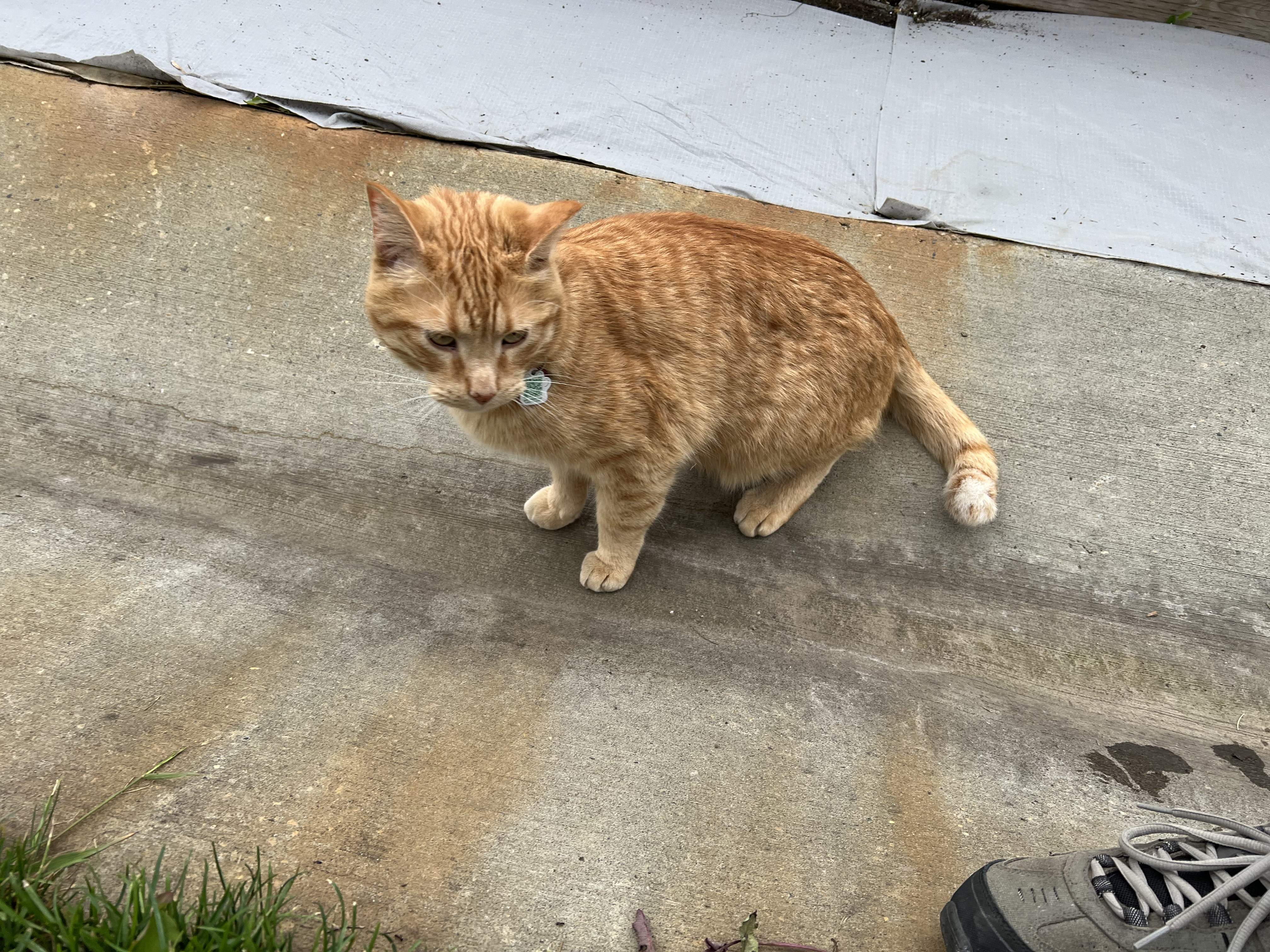 IMG_4463.jpeg