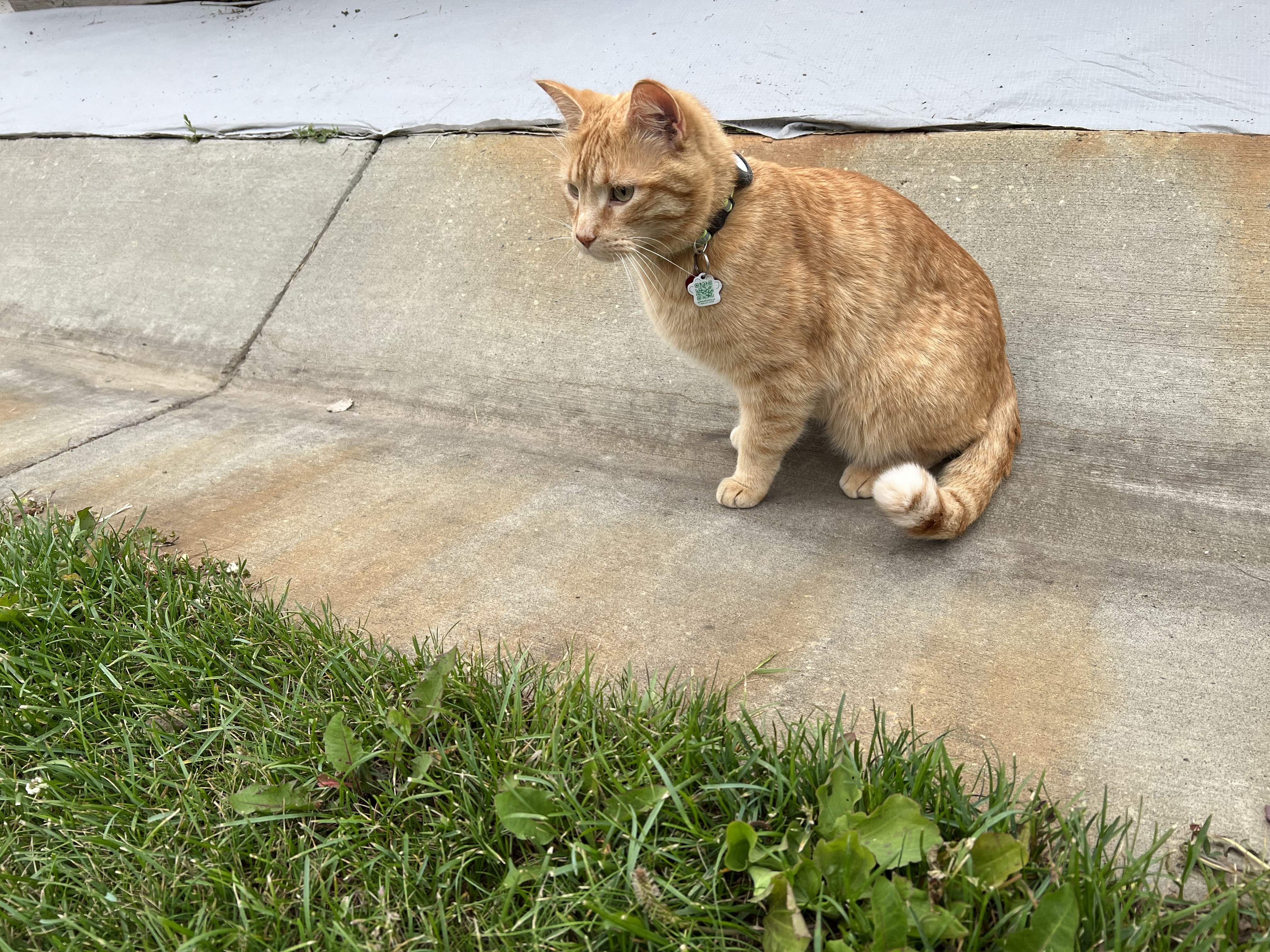 IMG_4464.jpeg