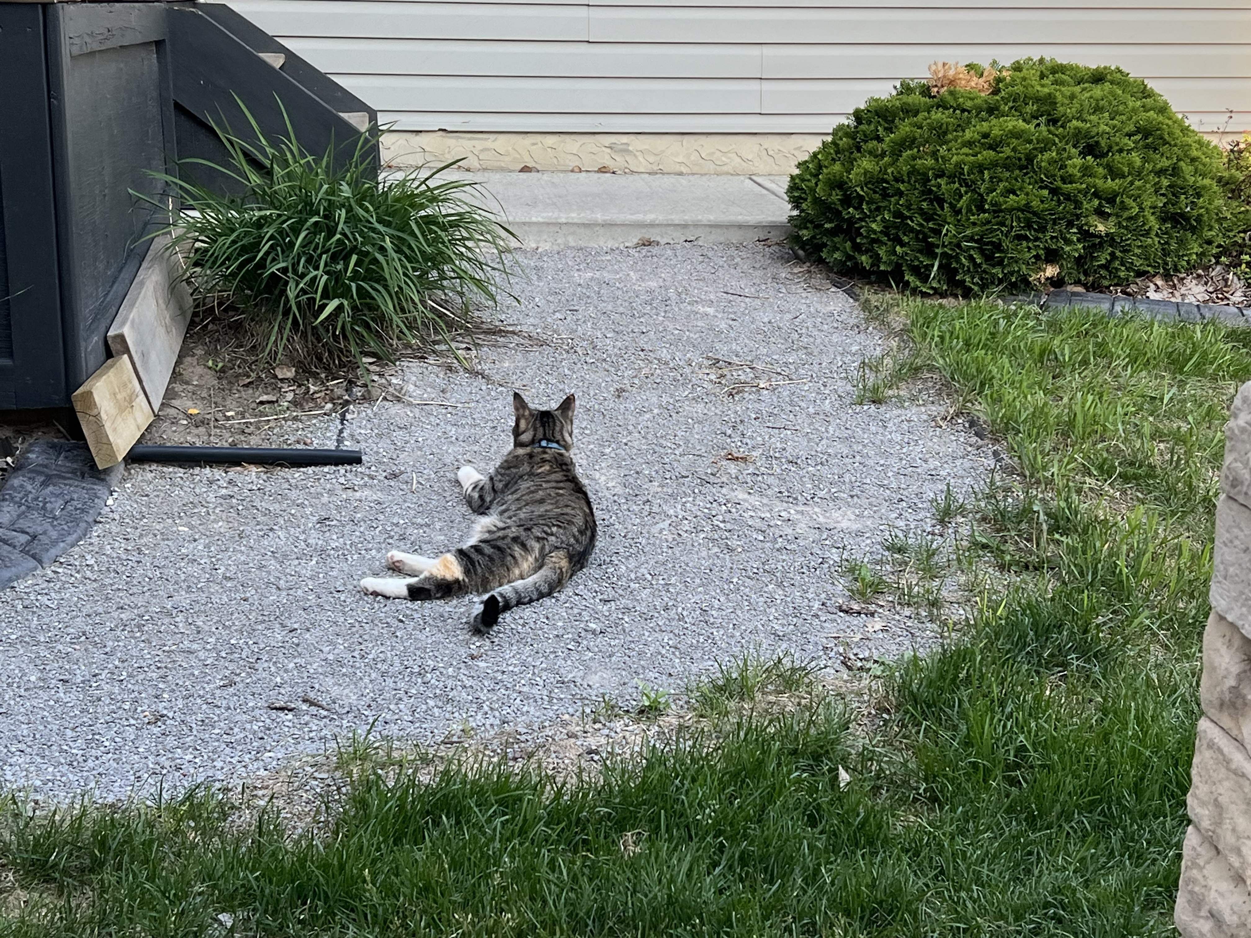 IMG_4473.jpeg
