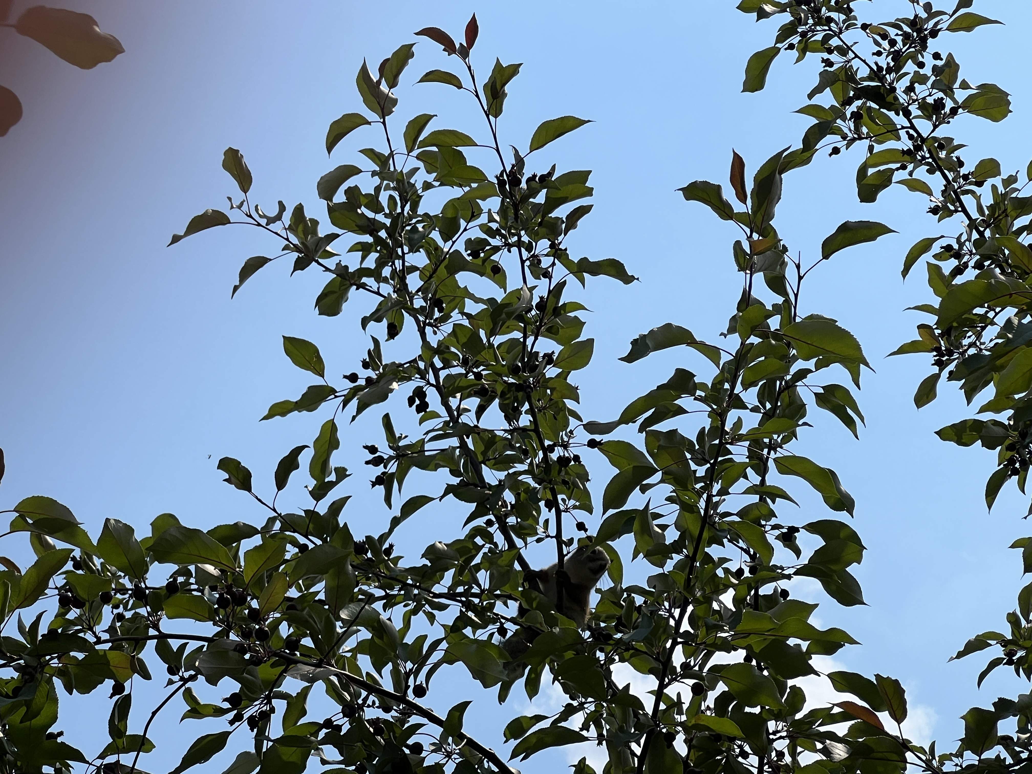 IMG_4497.jpeg
