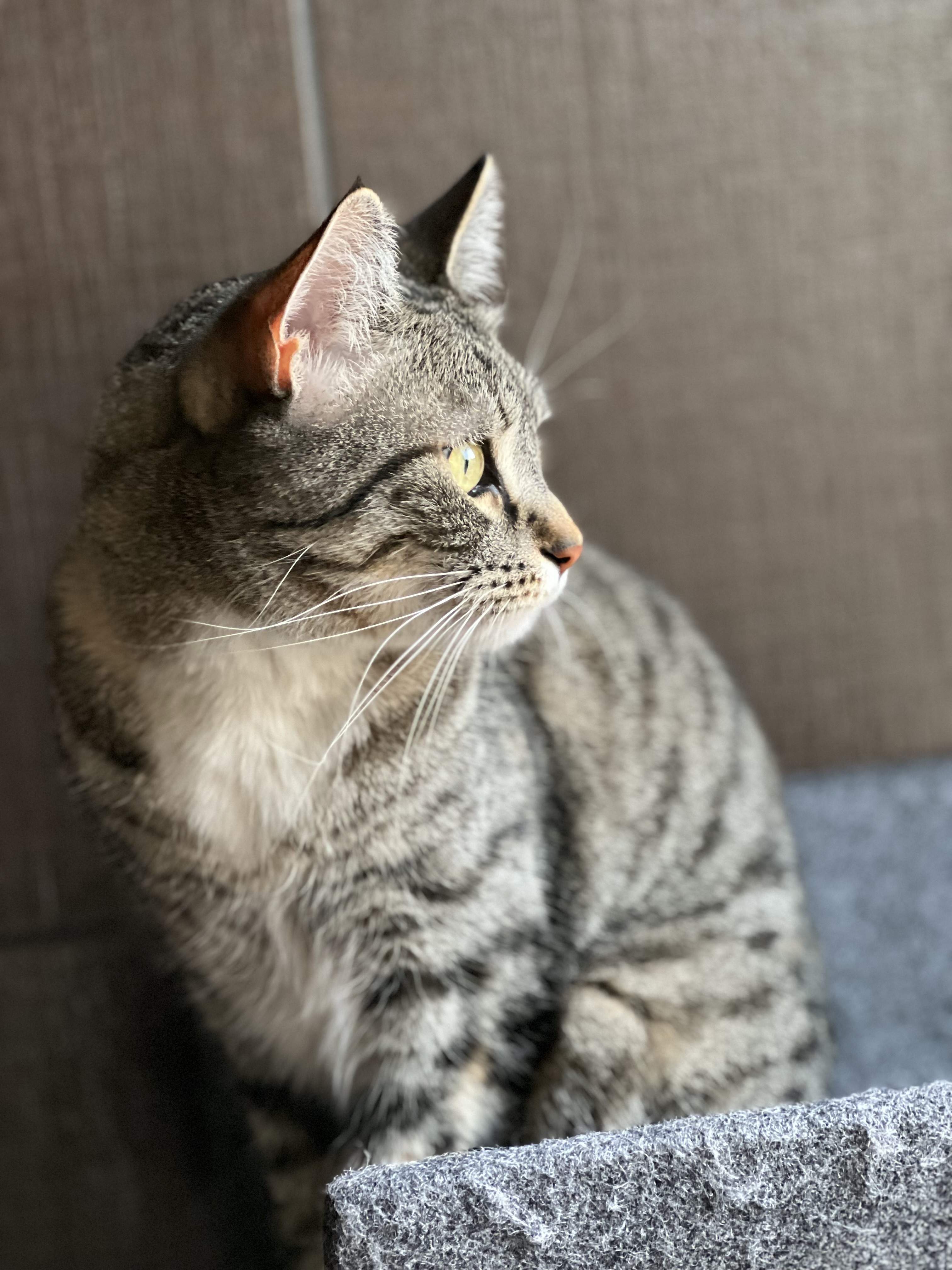 IMG_4532.jpeg