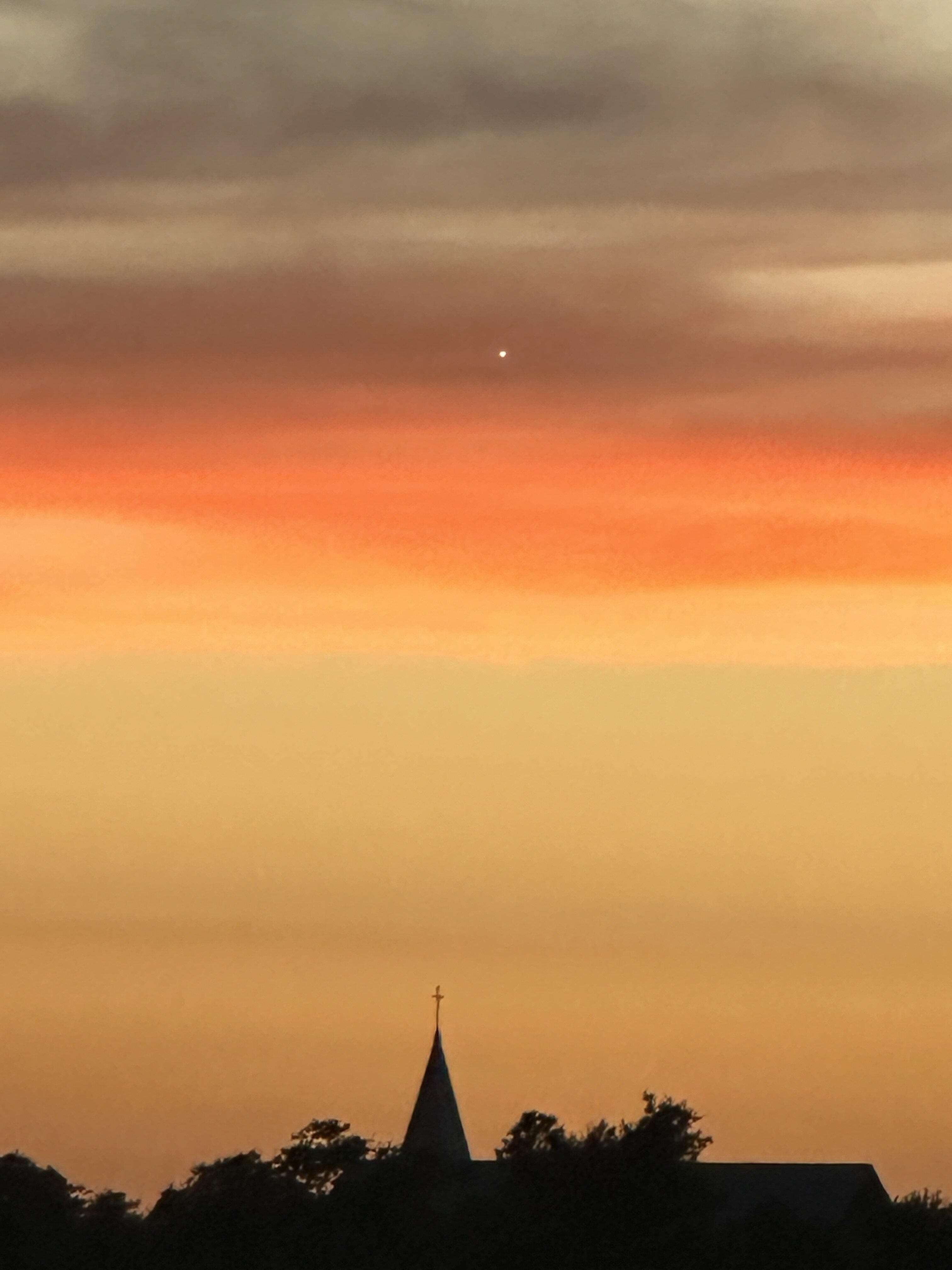 IMG_4536.jpeg