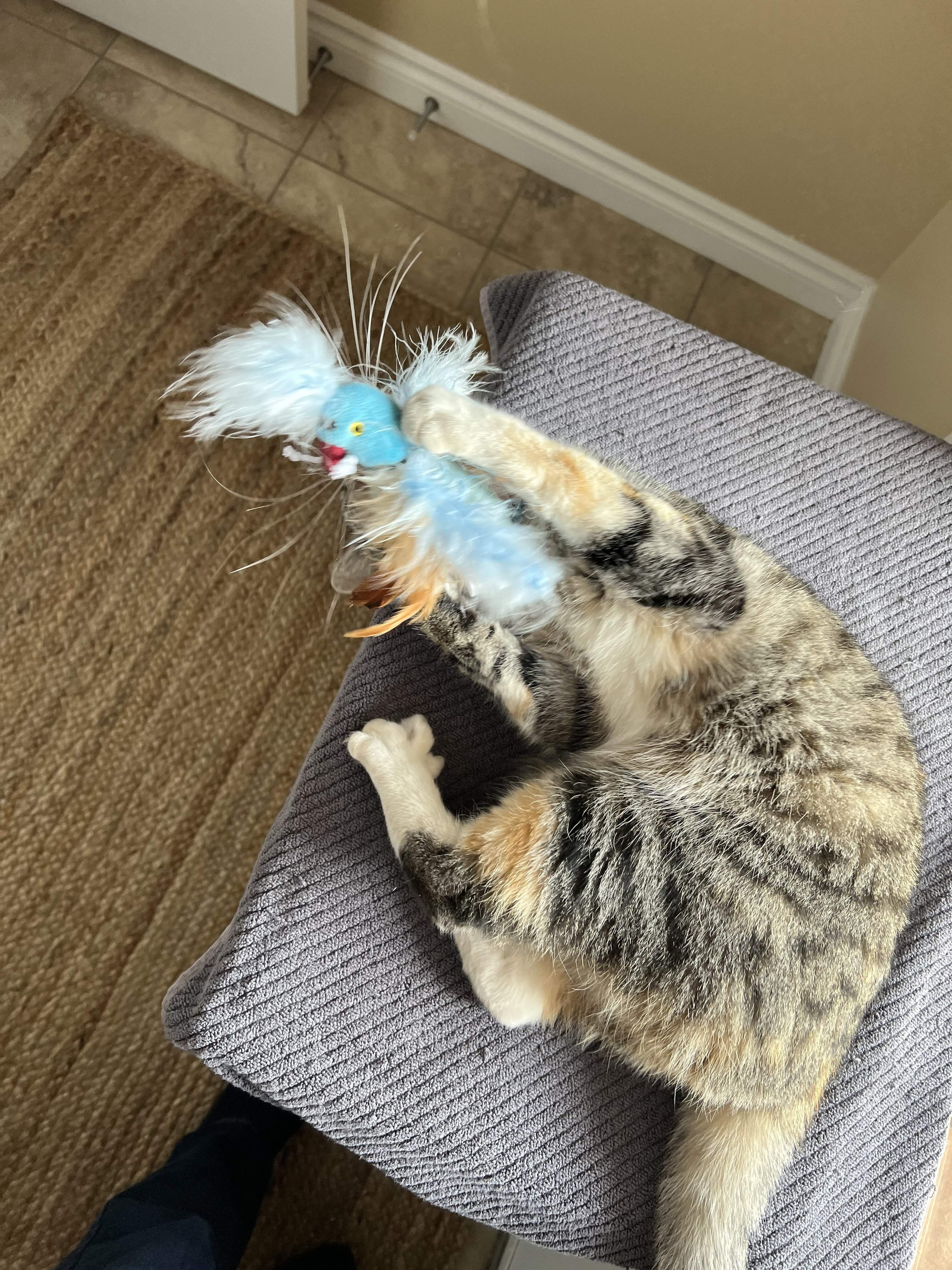 IMG_4542.jpeg