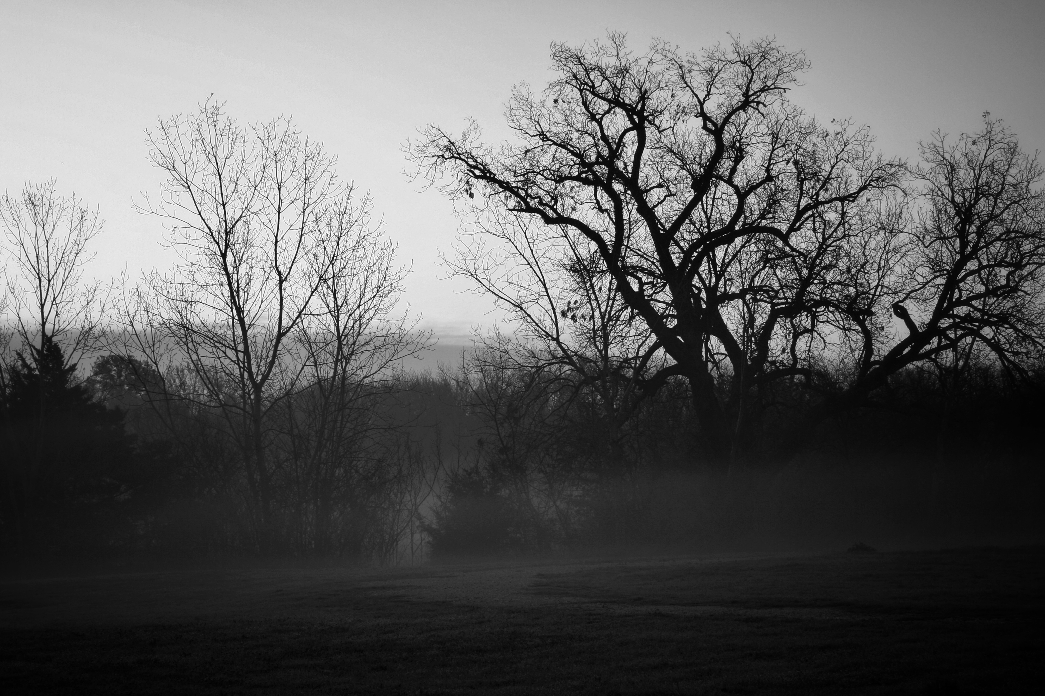 IMG_4590-01.jpeg