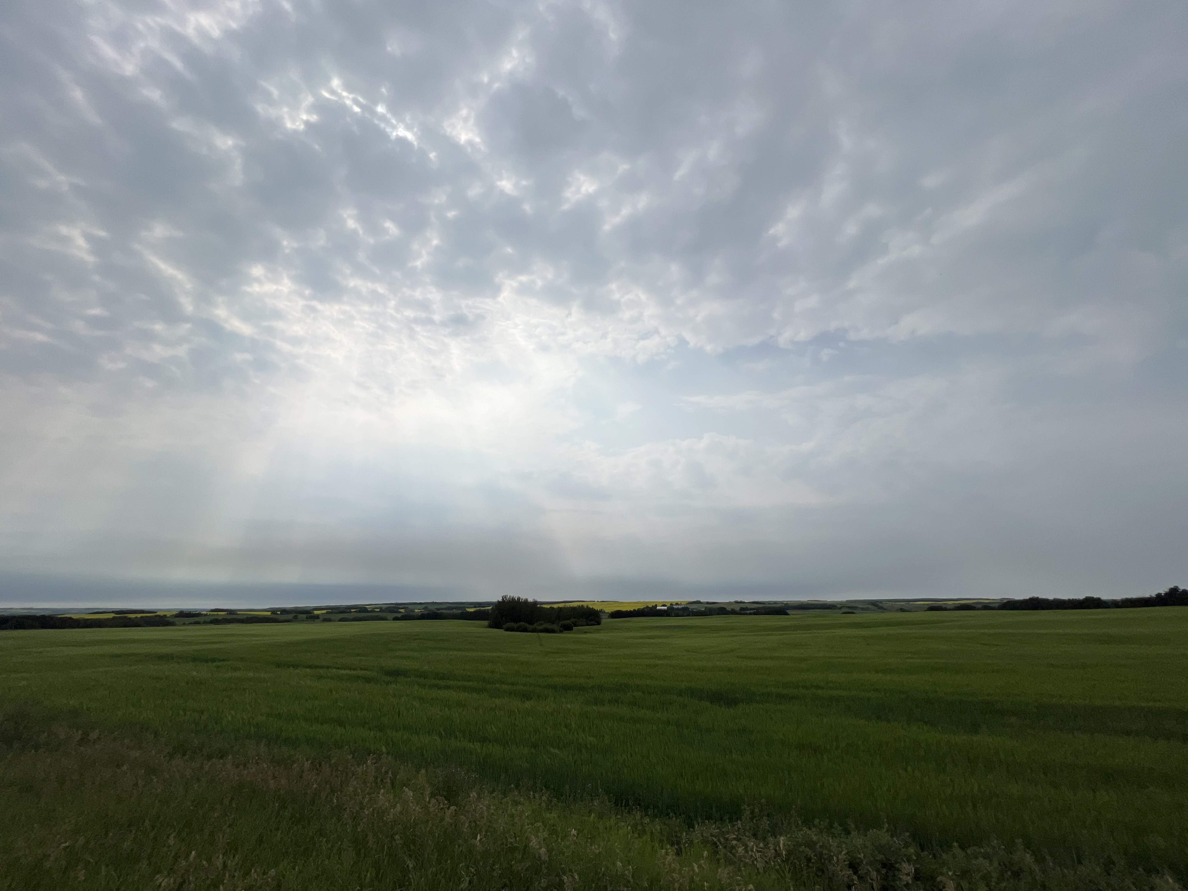 IMG_4599.jpeg