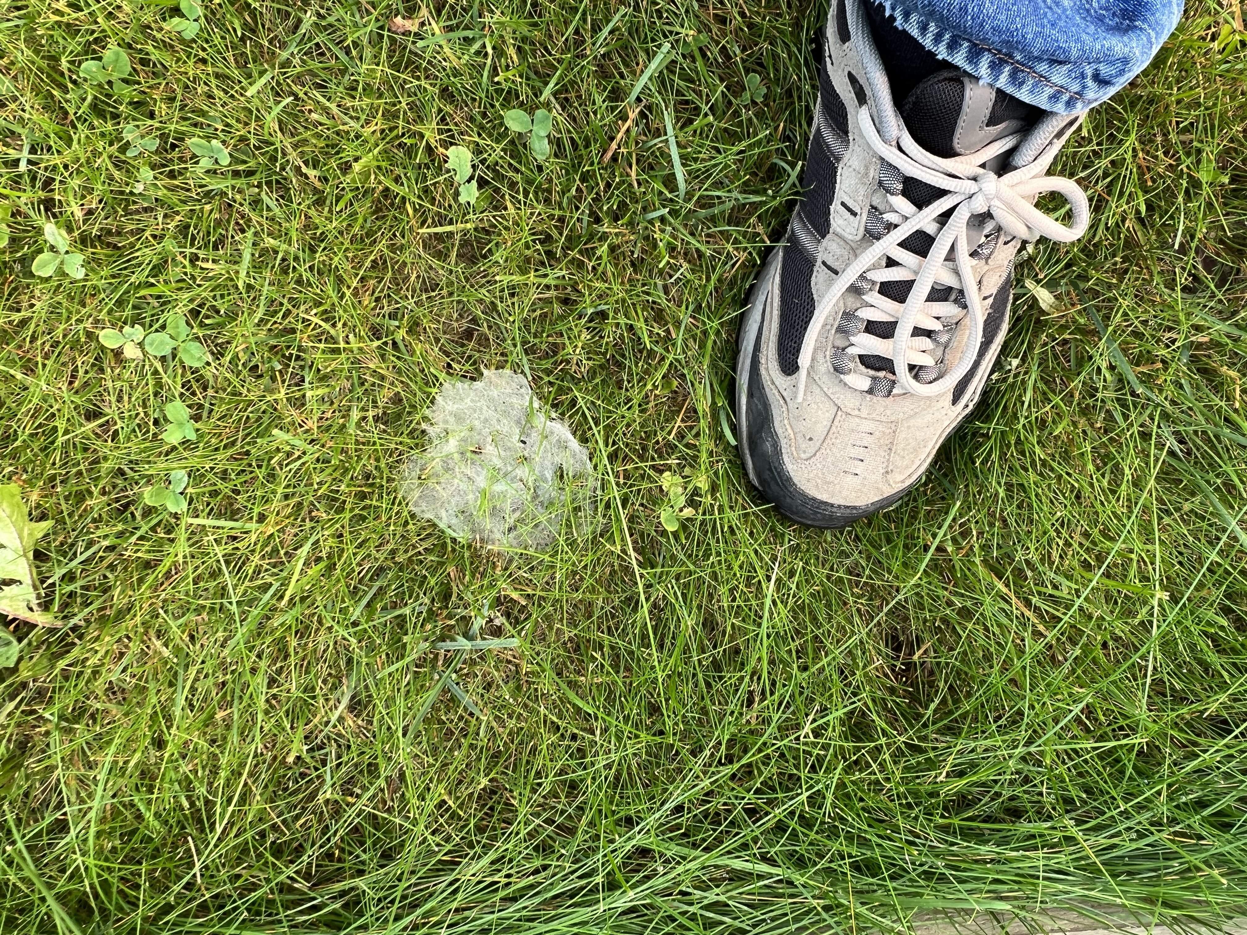 IMG_4653.jpeg