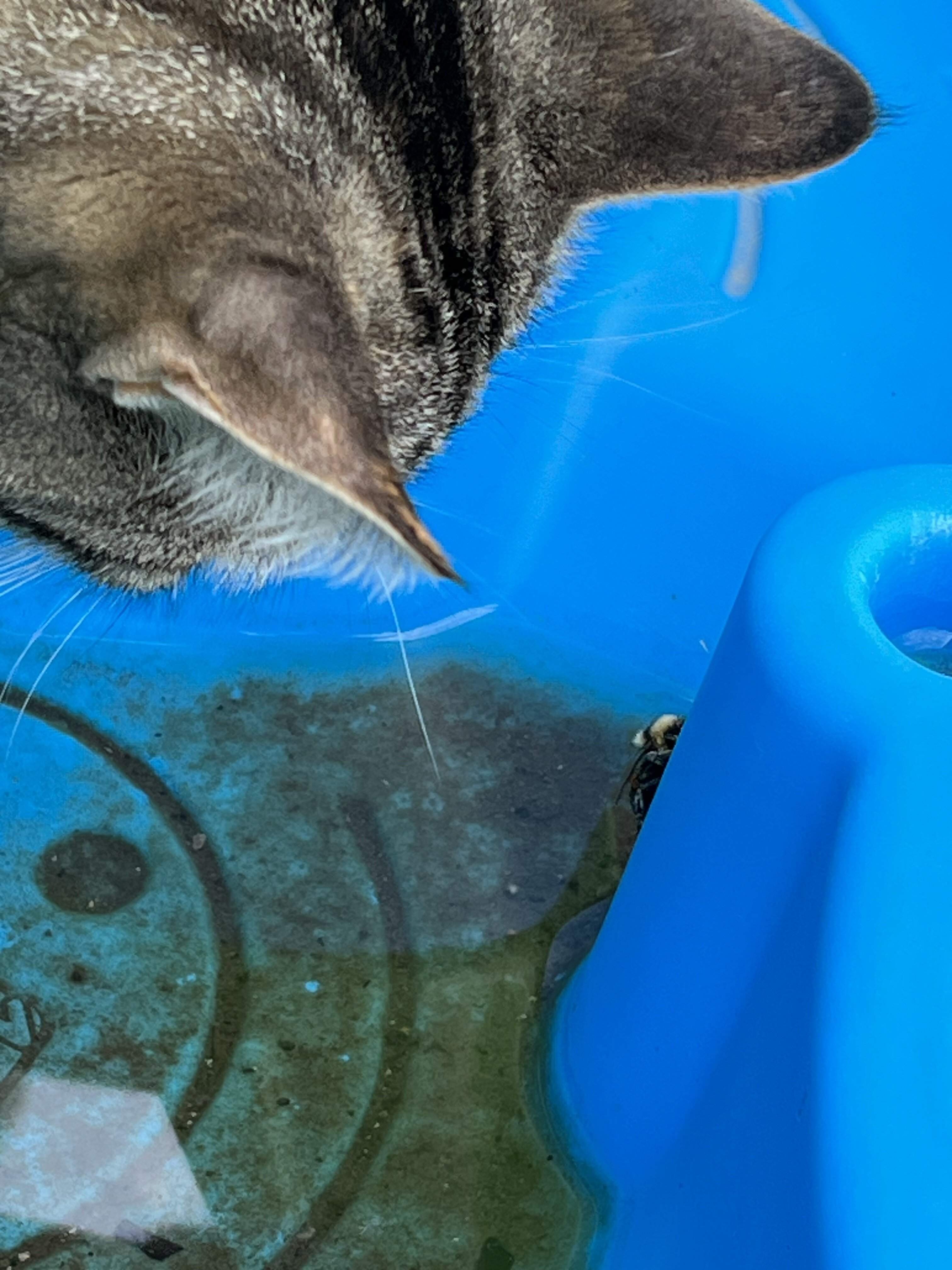 IMG_4723.jpeg