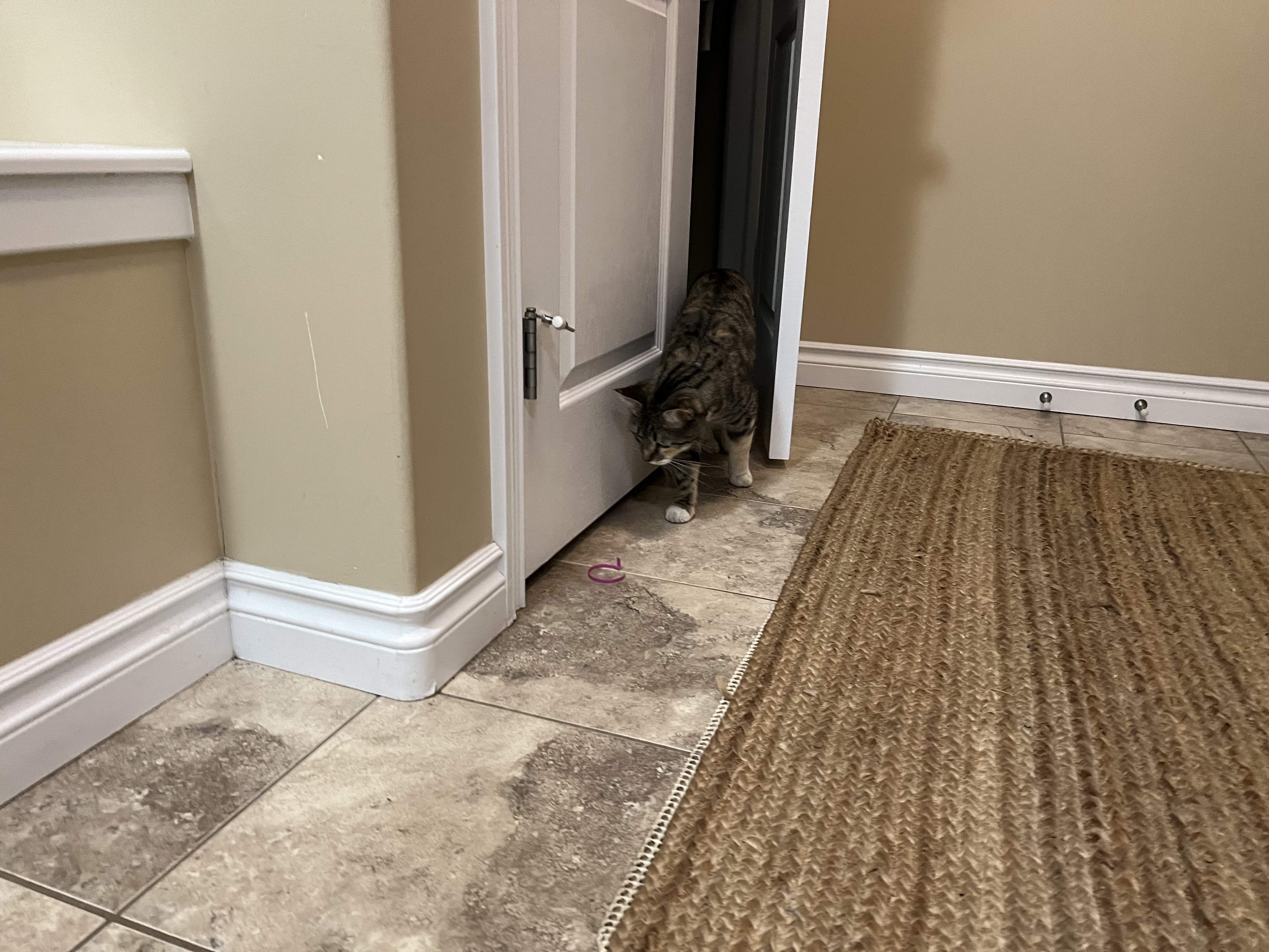 IMG_4736.jpeg