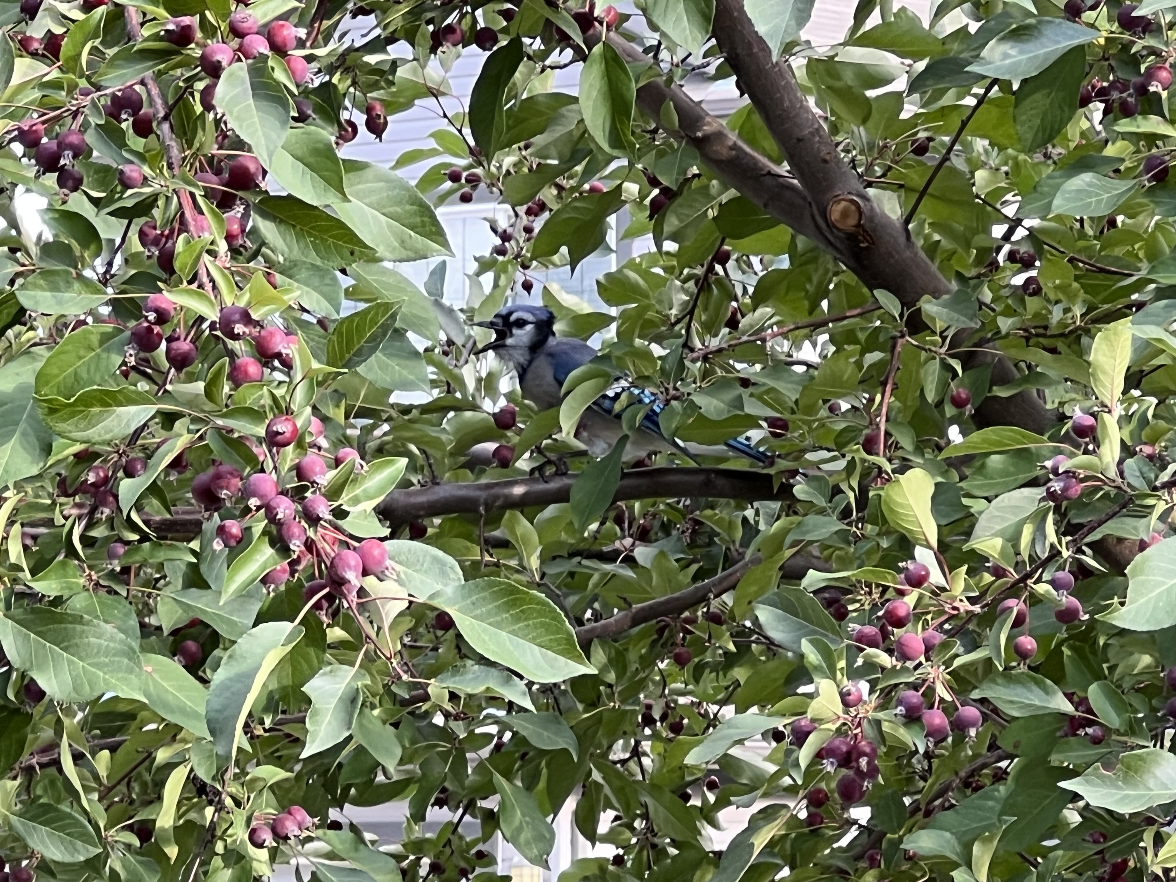 IMG_4810.jpeg