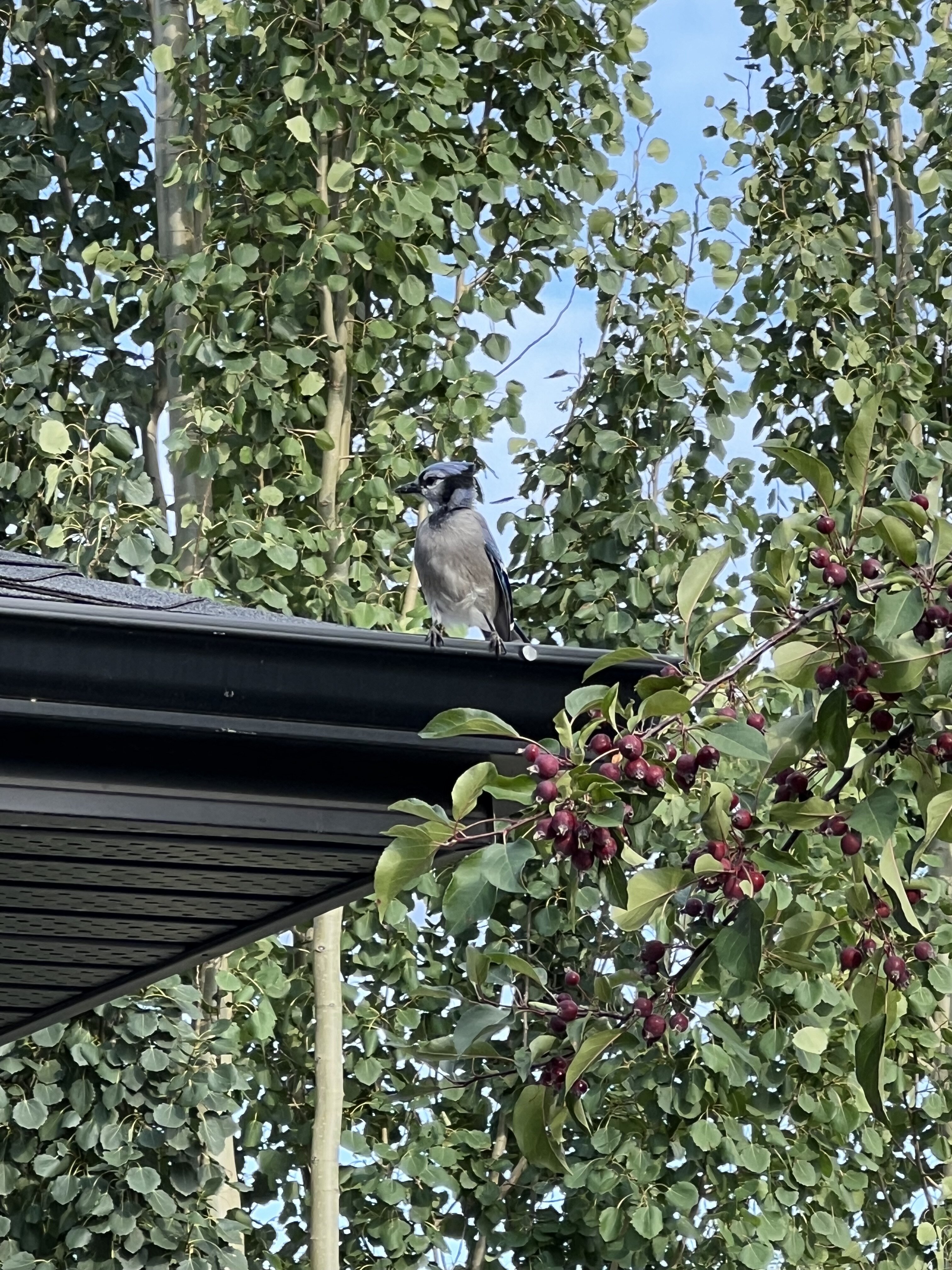 IMG_4812.jpeg