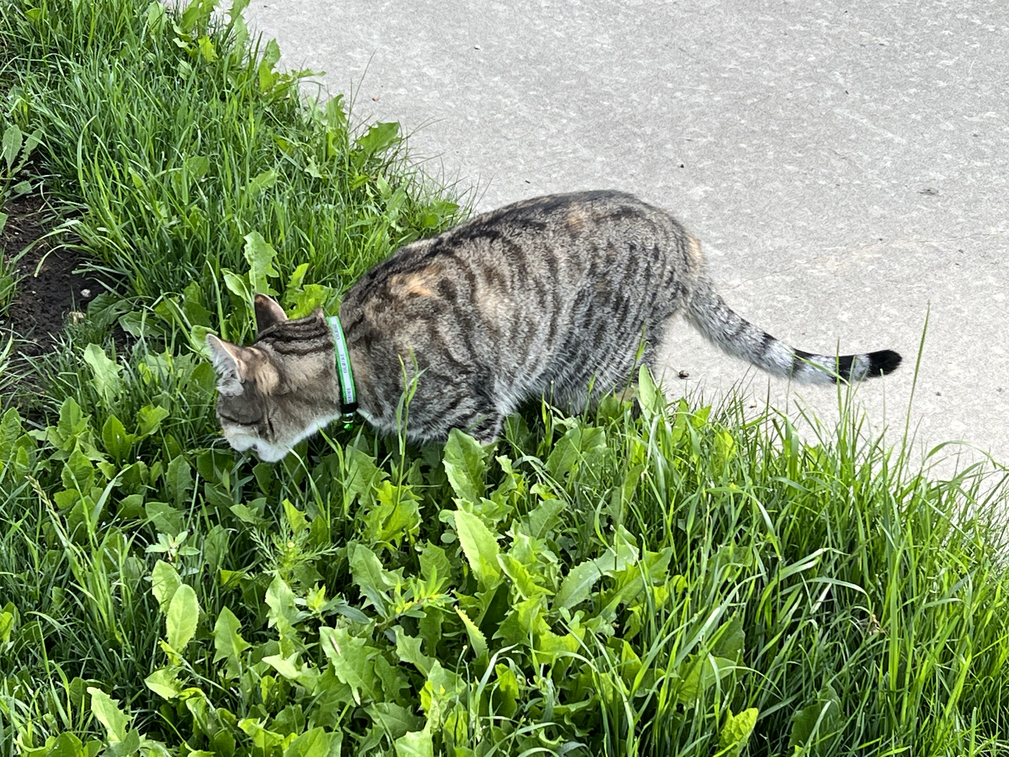 IMG_4819.jpeg
