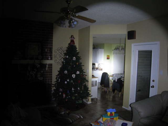 IMG_4831.jpg