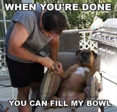 IMG_4850.jpeg