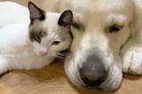 IMG_4888.jpeg