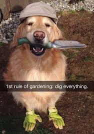 IMG_4902.jpeg