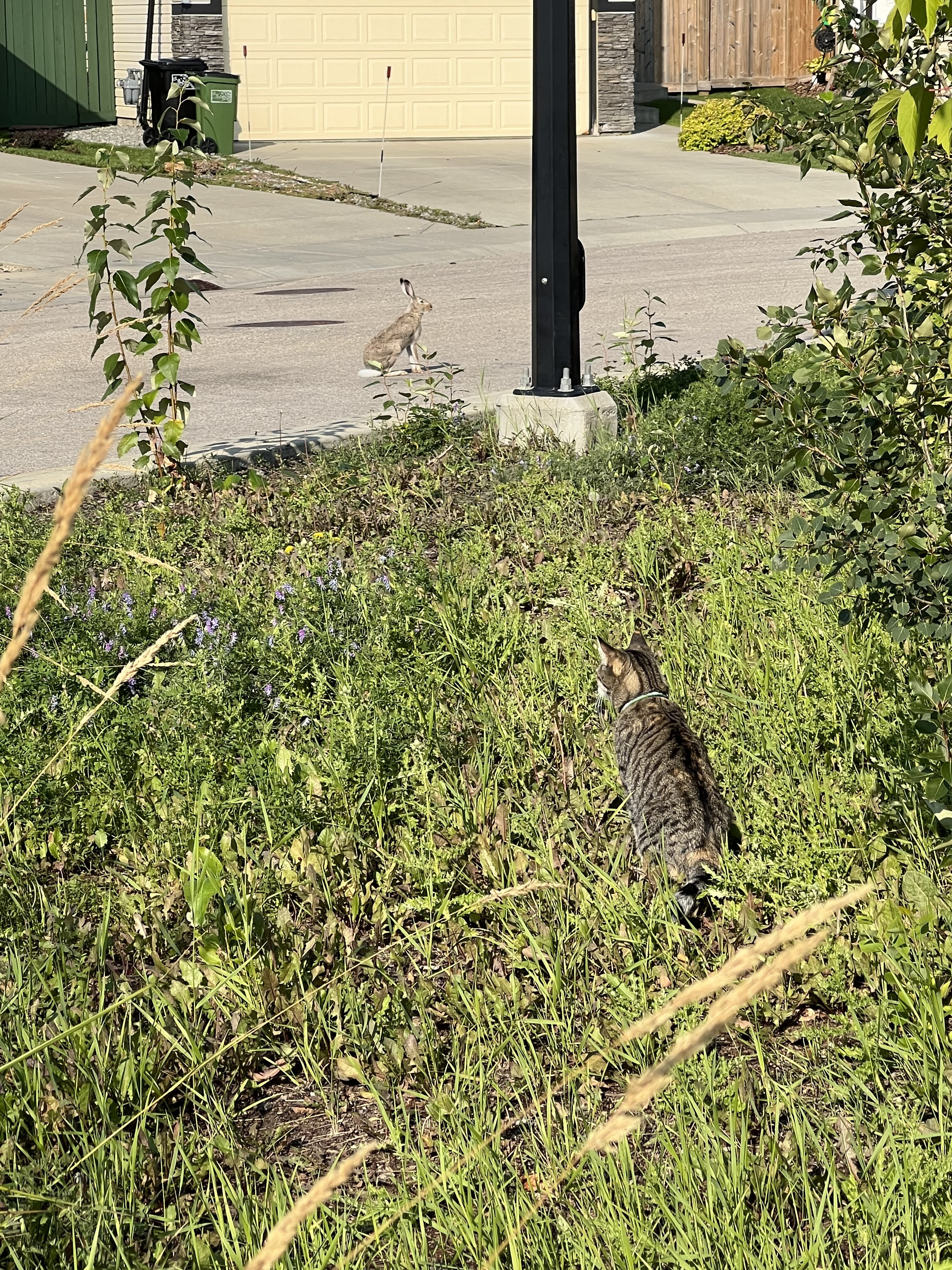 IMG_4923.jpeg