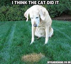 IMG_4924.jpeg
