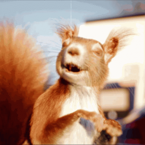IMG_4944.gif