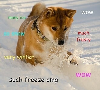 IMG_4956.jpeg