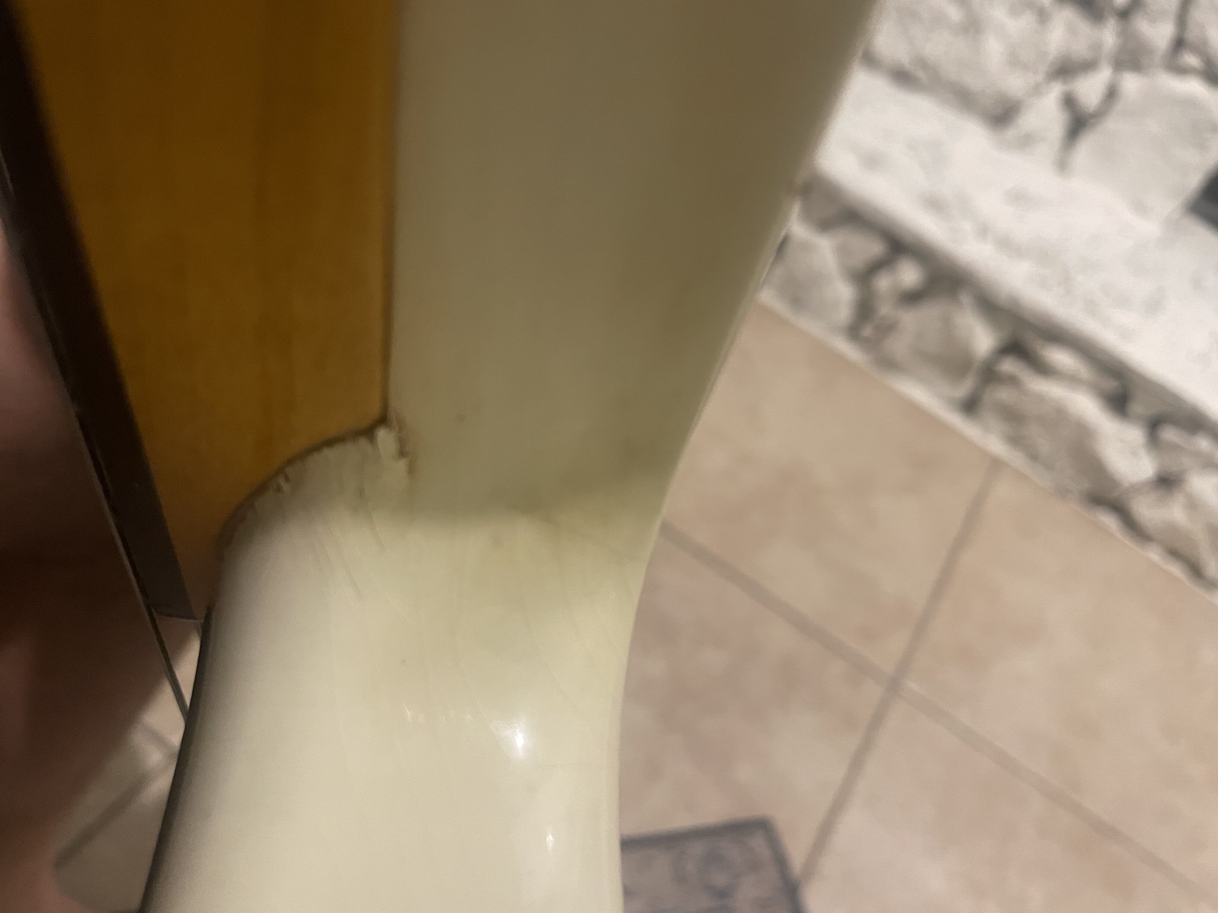IMG_5026.jpeg