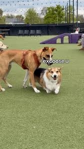 IMG_5155.jpeg