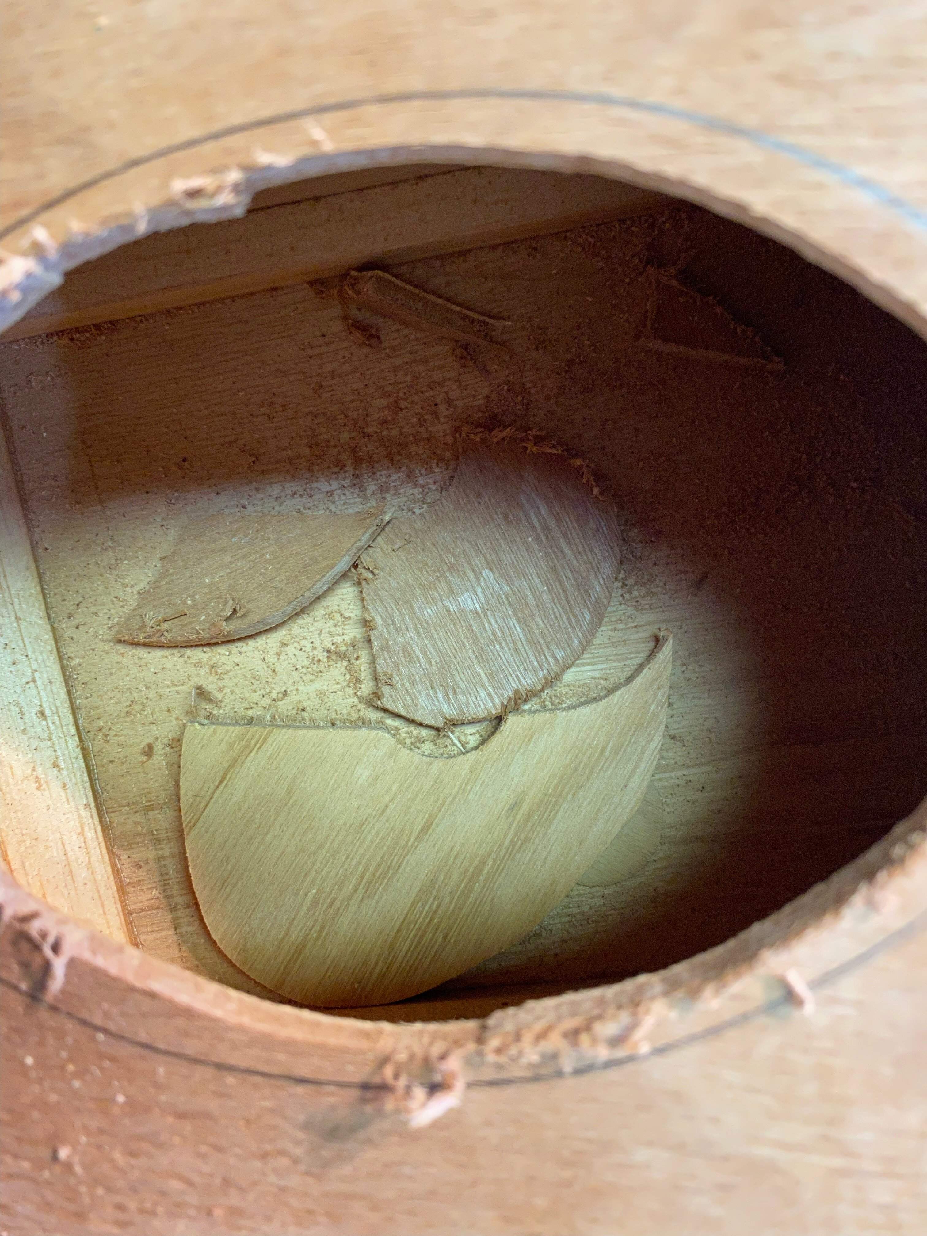 IMG_5216D.JPG