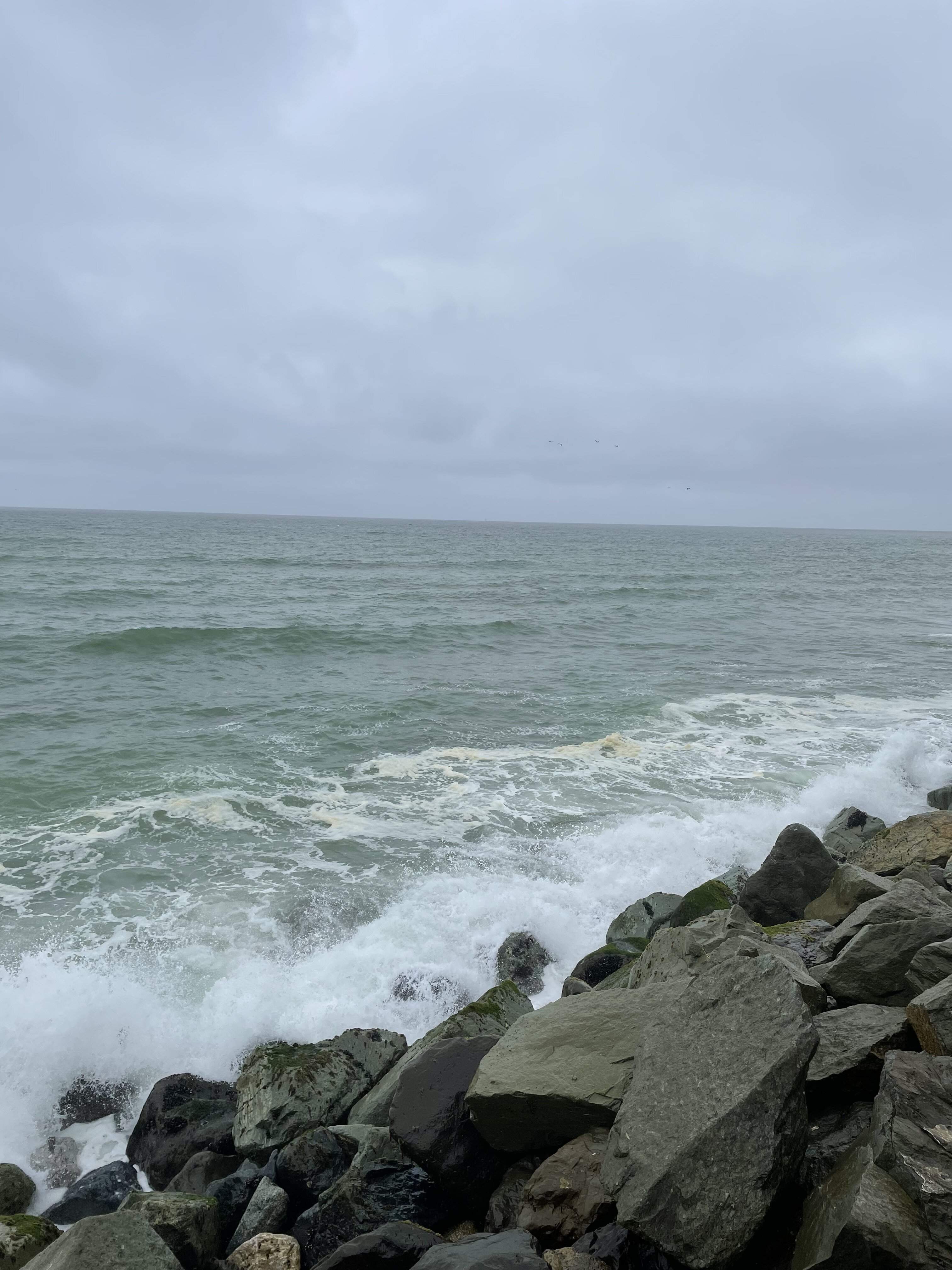 IMG_5297.jpeg