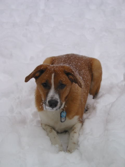 IMG_5318.jpg