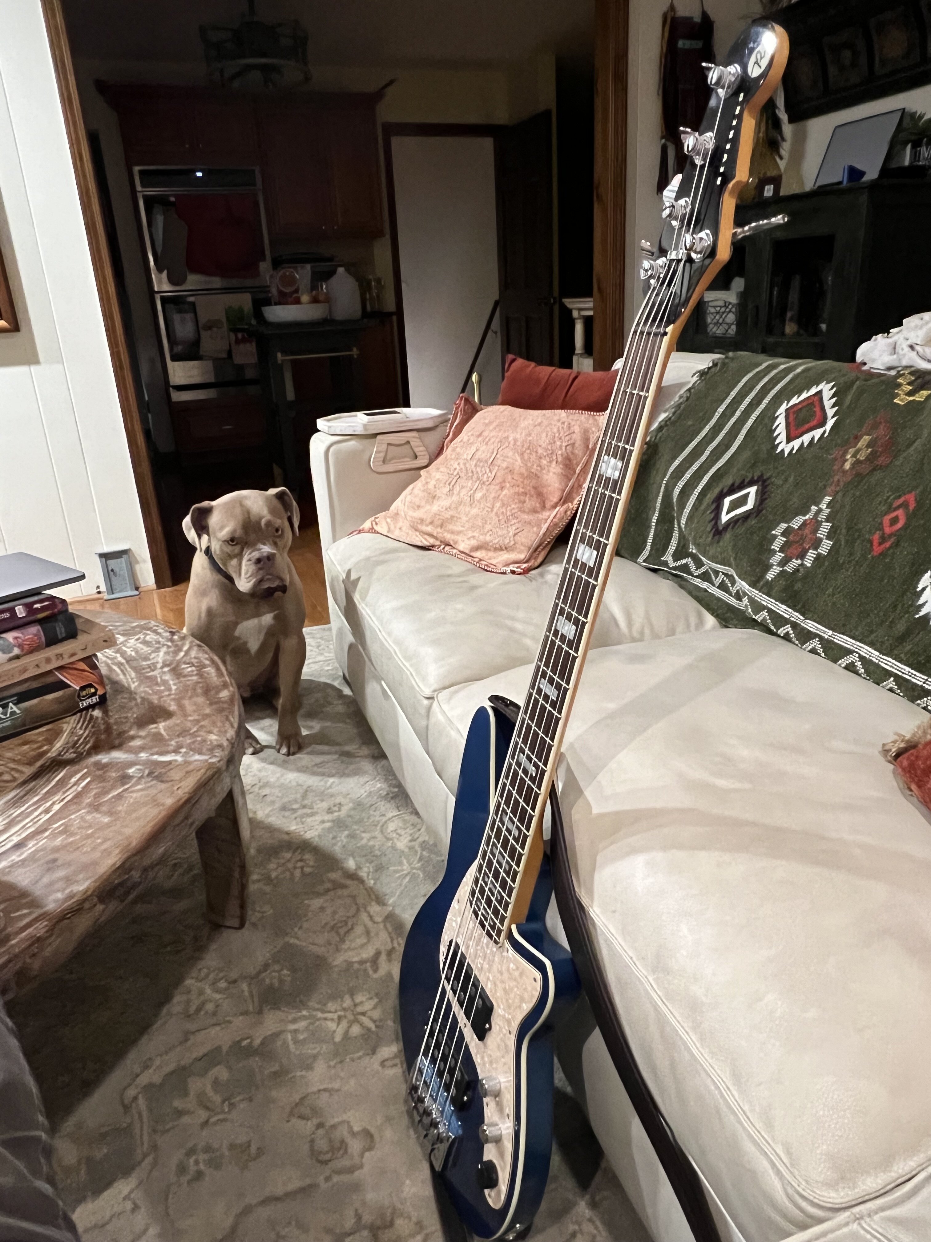 IMG_5327.jpeg