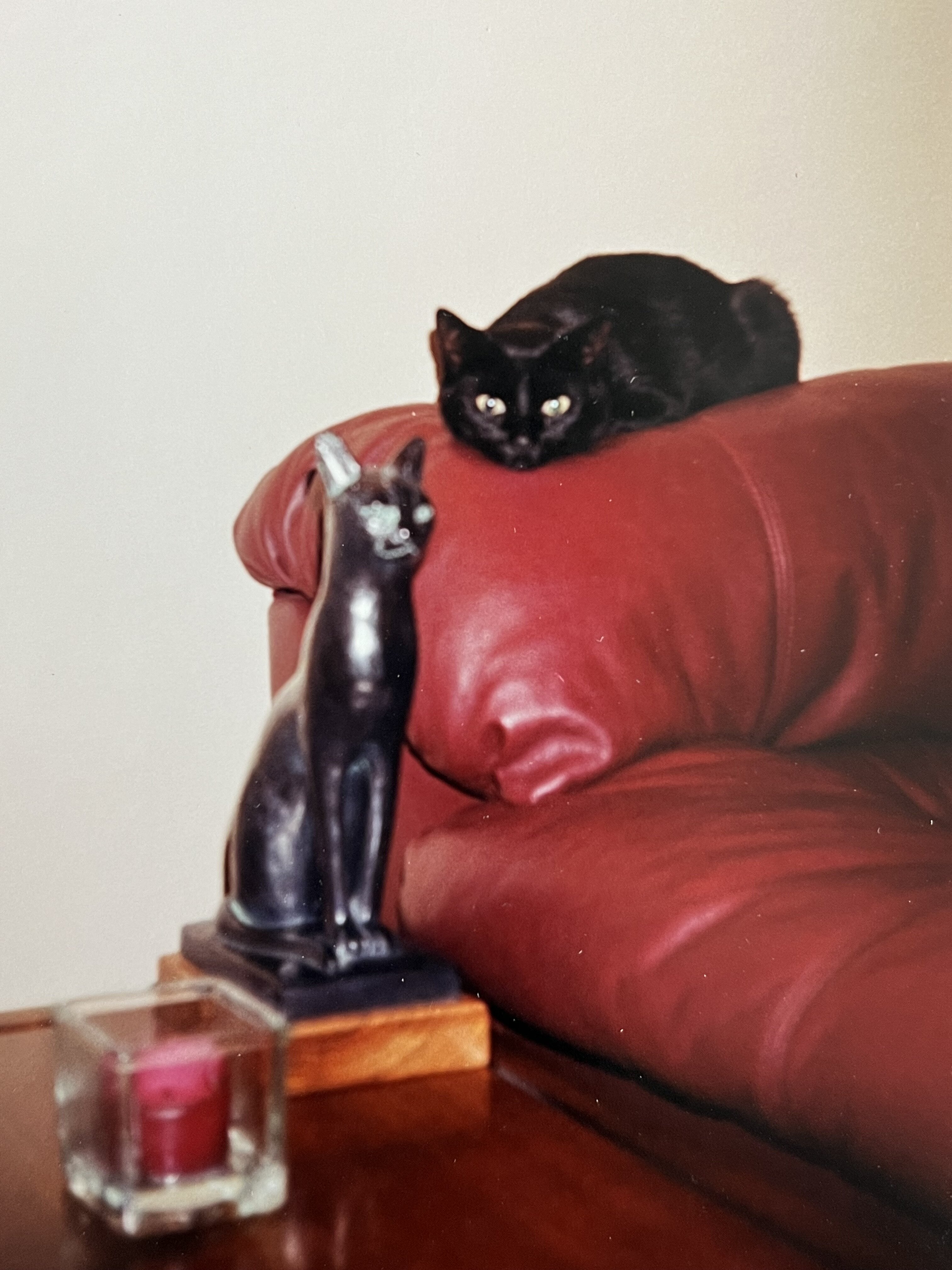 IMG_5376.jpeg