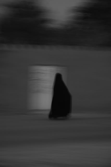IMG_5387.jpg