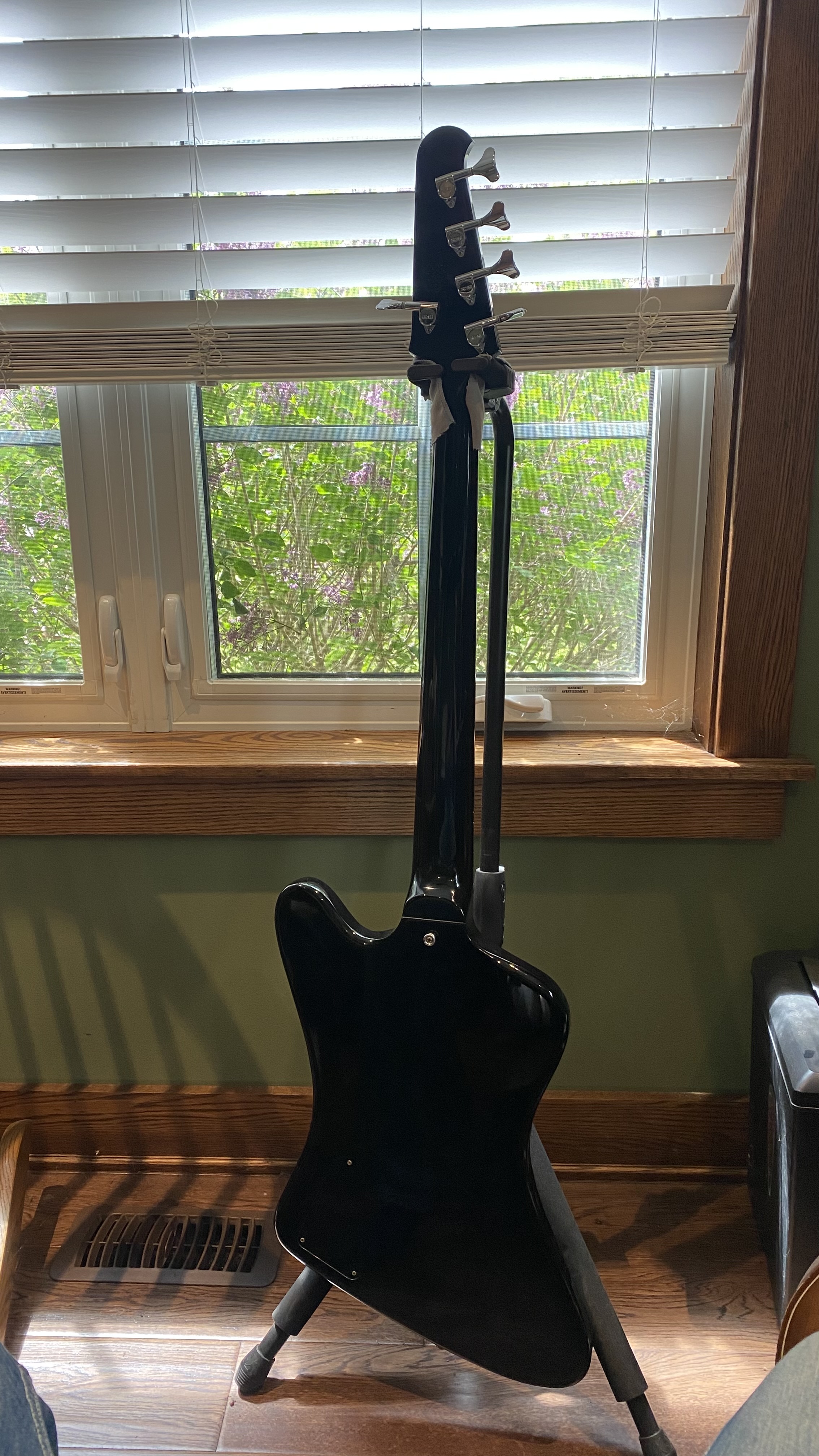 IMG_5402.jpeg