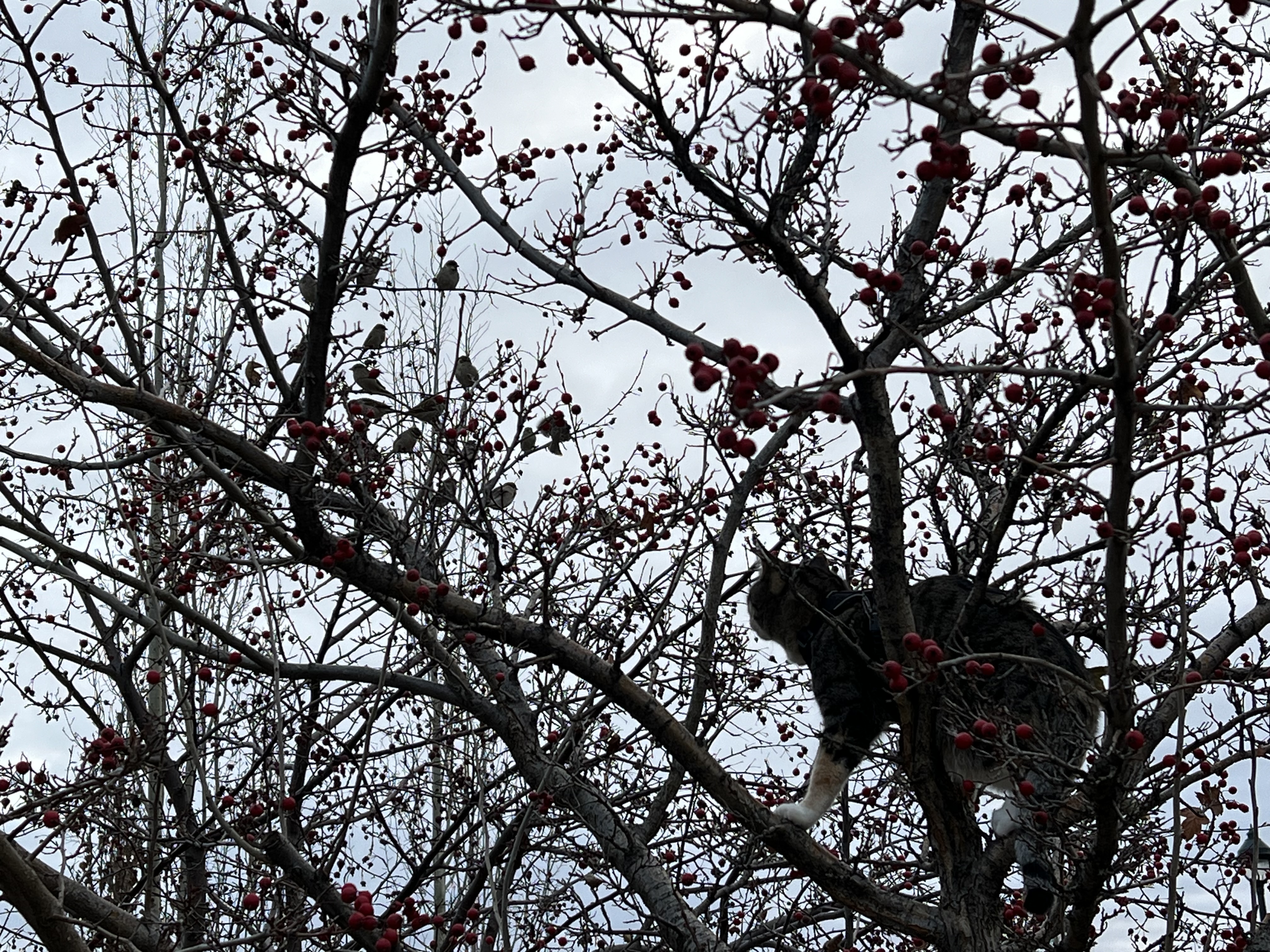 IMG_5454.jpeg