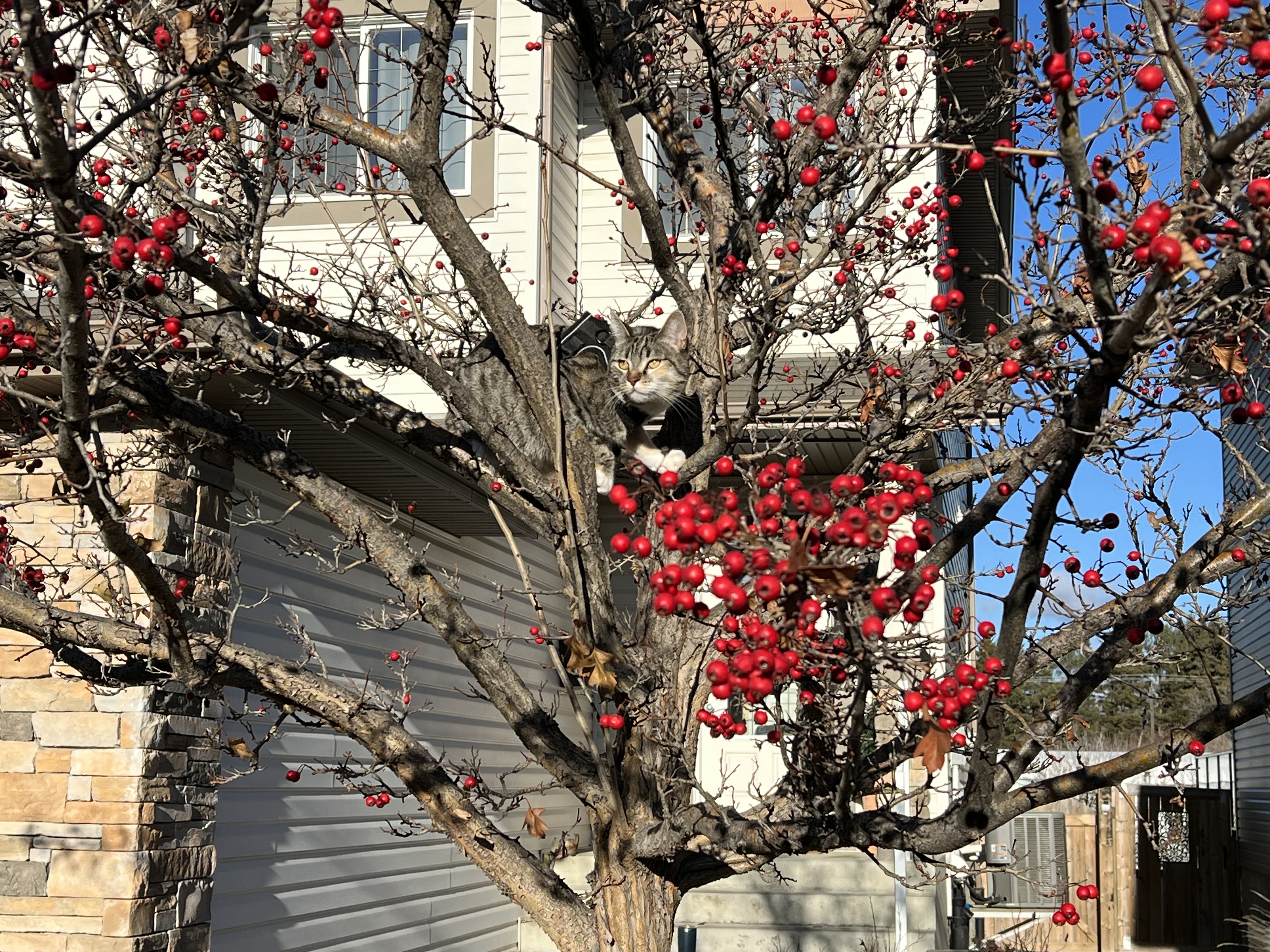 IMG_5457.jpeg