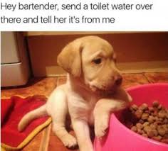 IMG_5483.jpeg