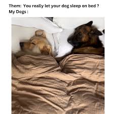 IMG_5592.jpeg