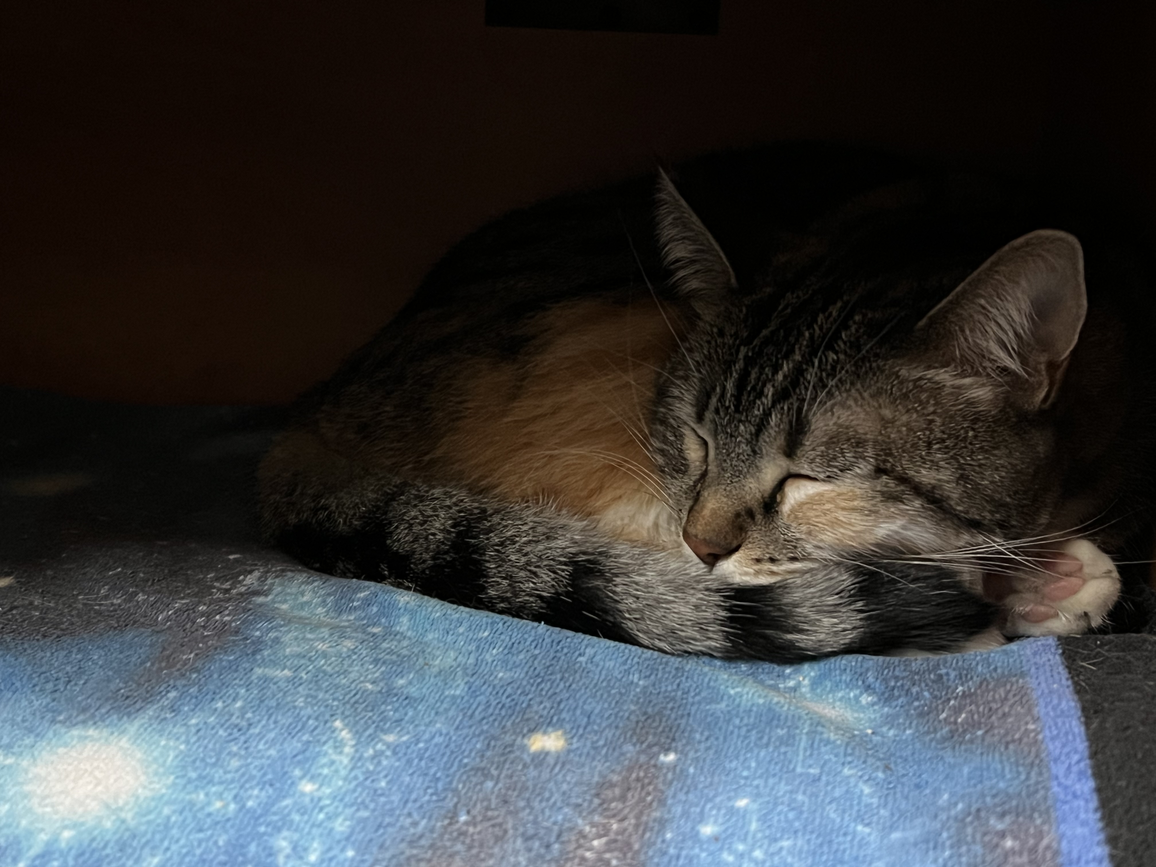 IMG_5620.jpeg