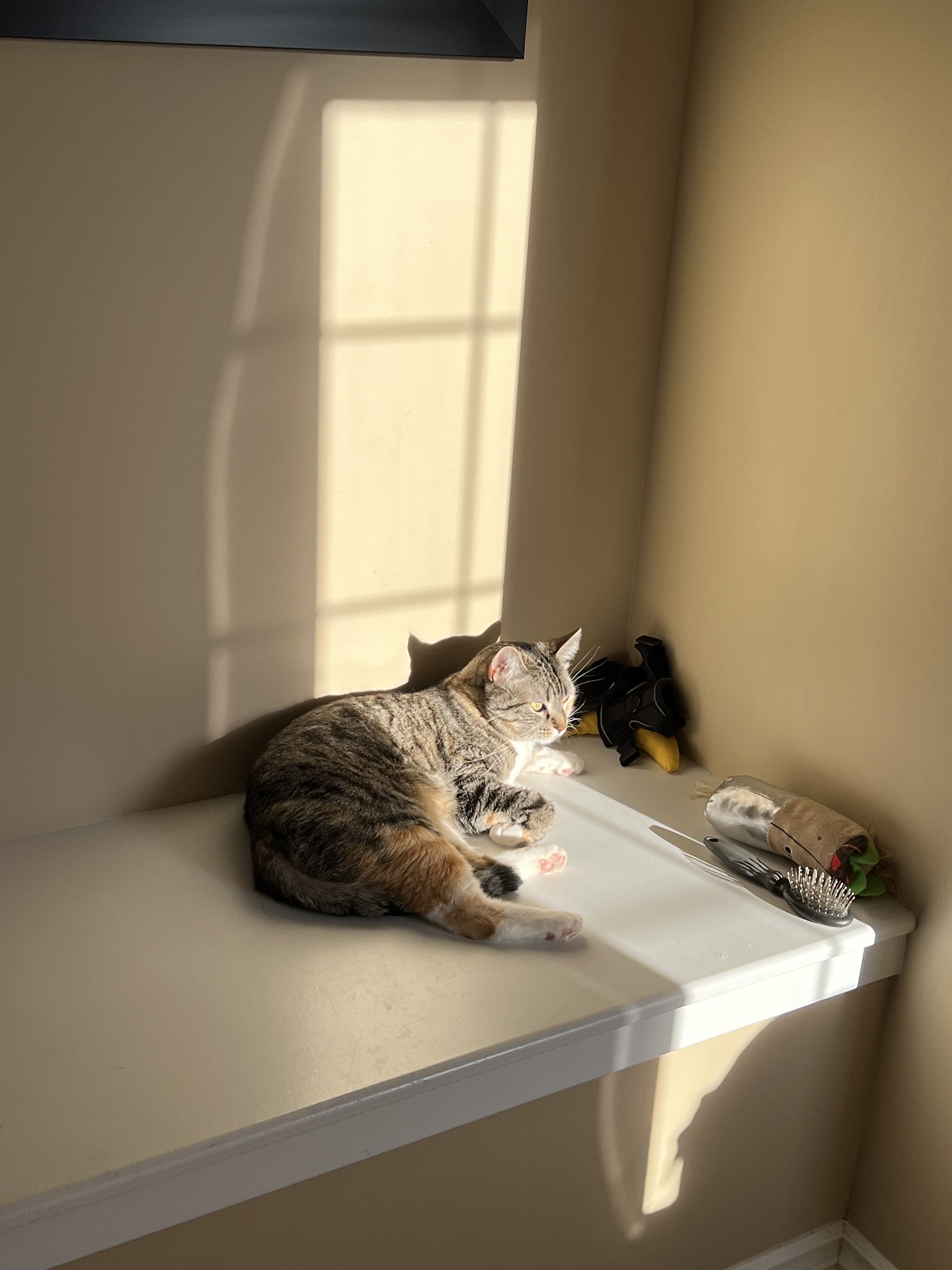 IMG_5664.jpeg