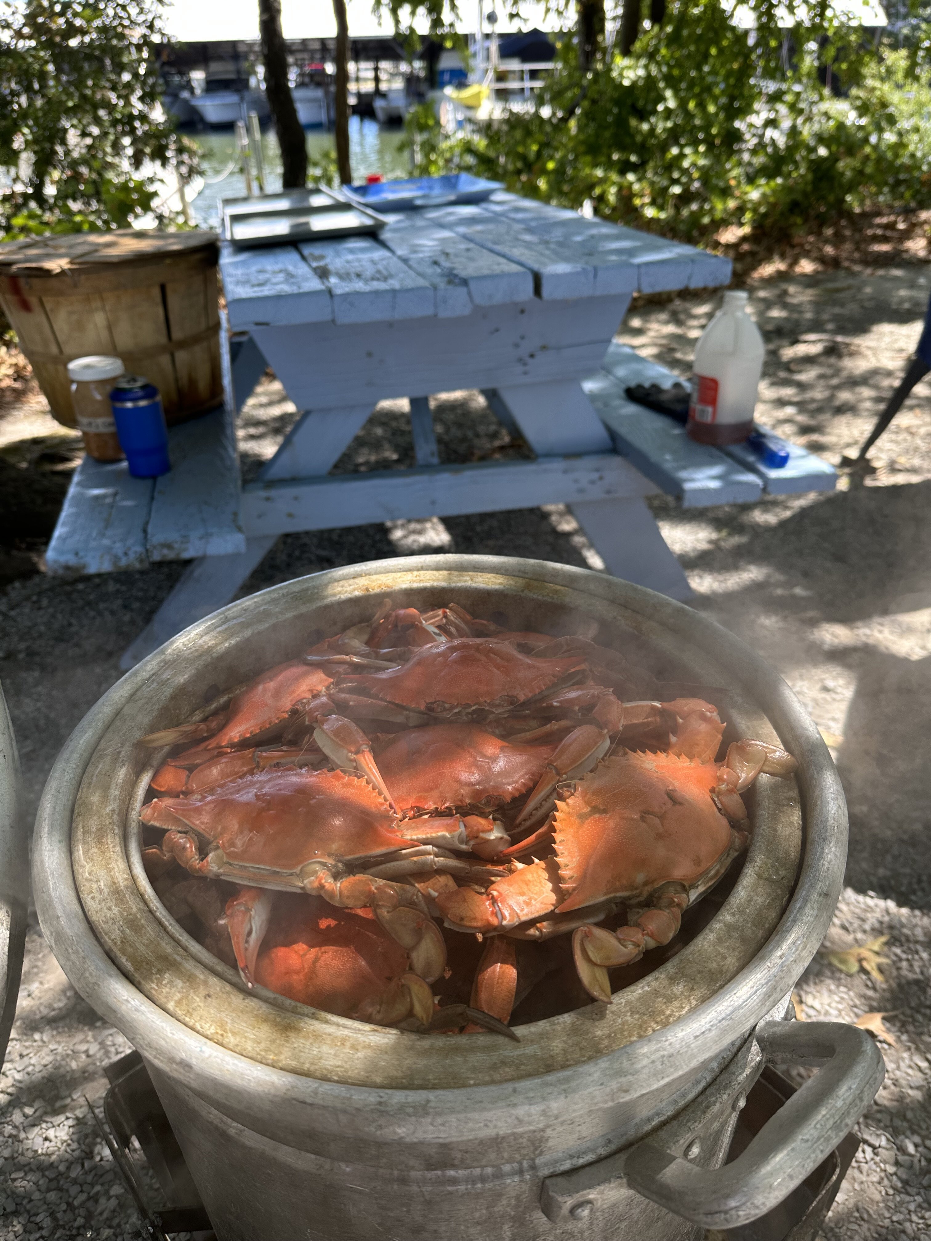 IMG_5672.jpeg