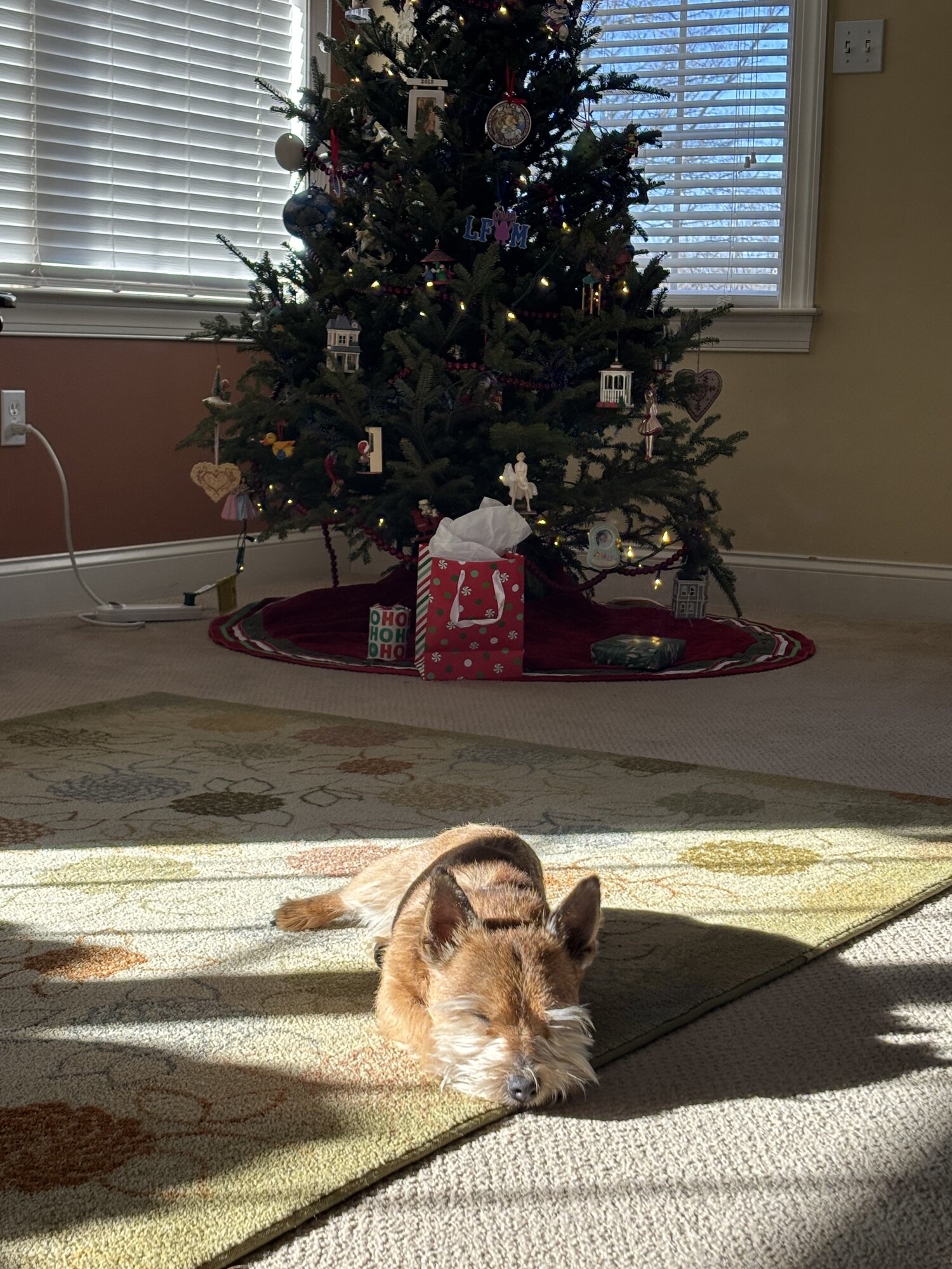 IMG_5934.jpeg