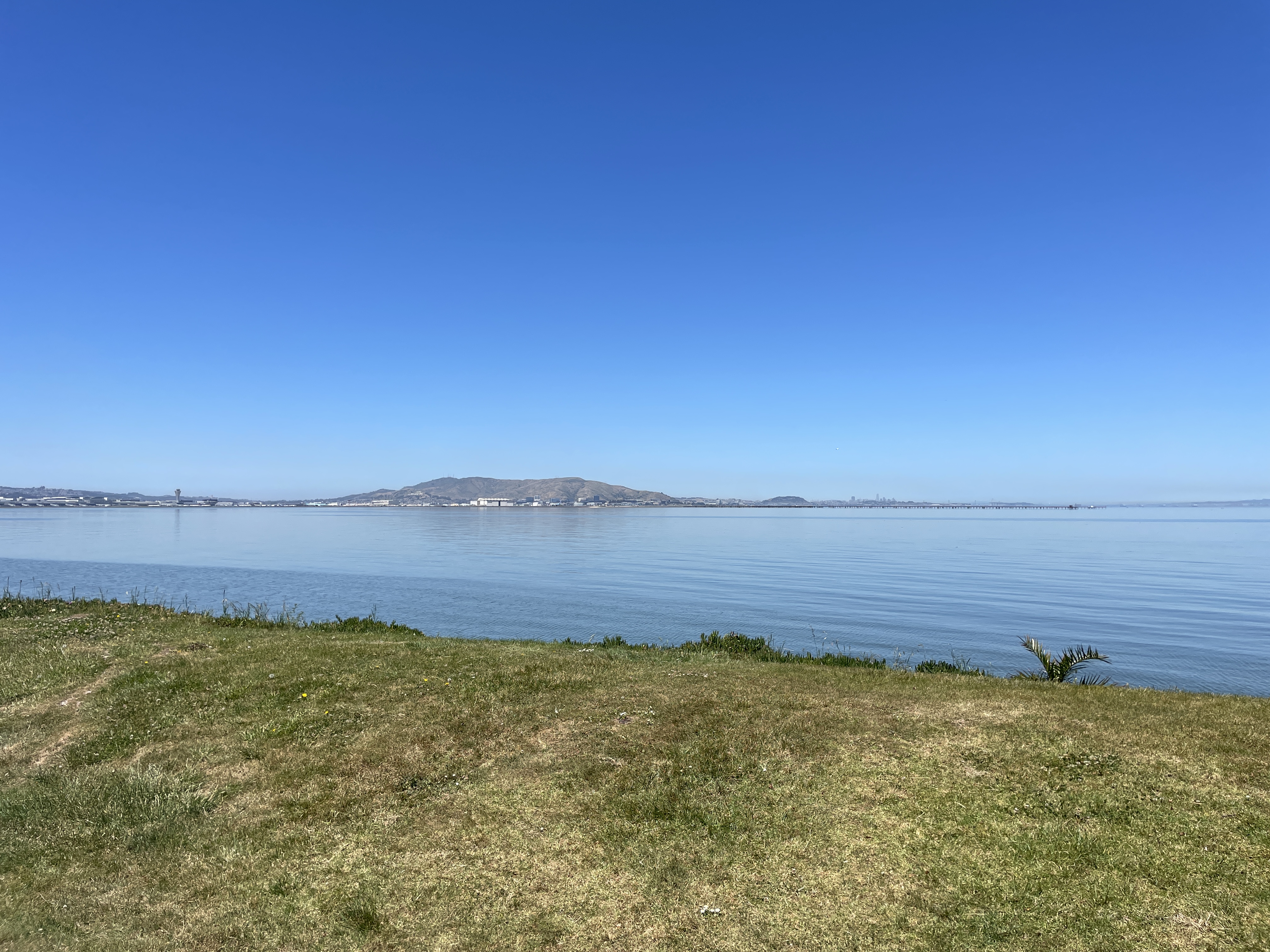 IMG_5969.jpeg