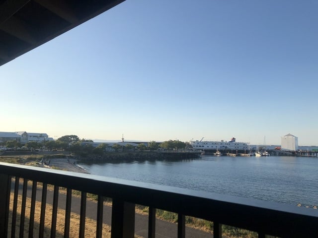 IMG_5992.jpeg