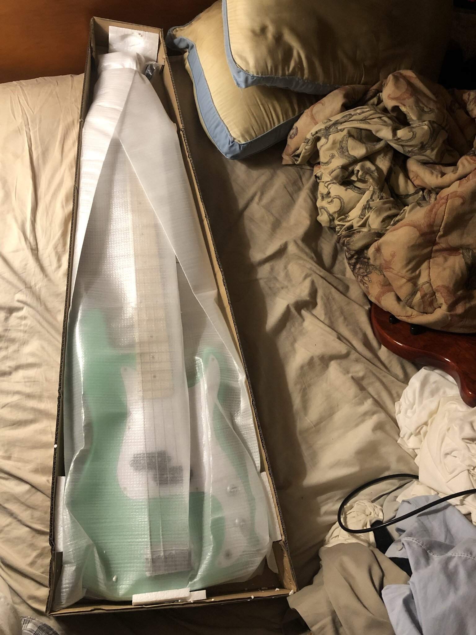 IMG_6004.JPEG