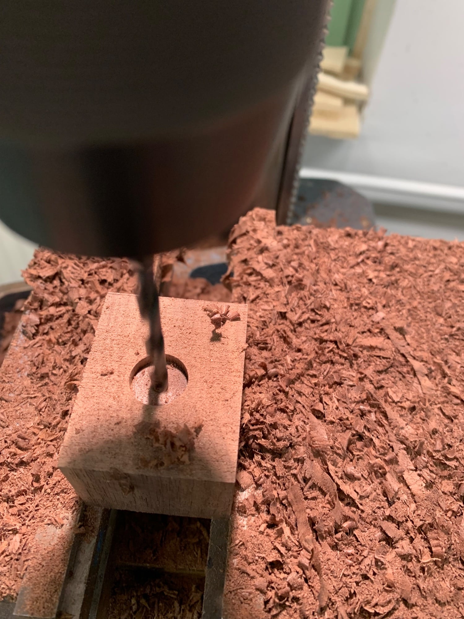 IMG_6023.jpeg