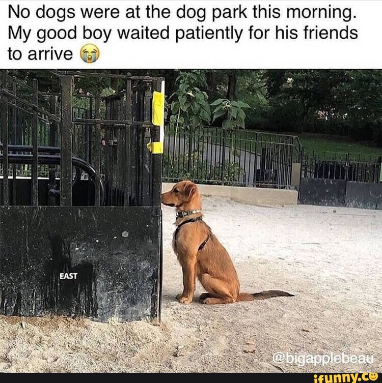 IMG_6094.jpeg