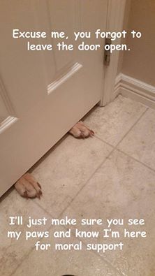 IMG_6113.jpeg